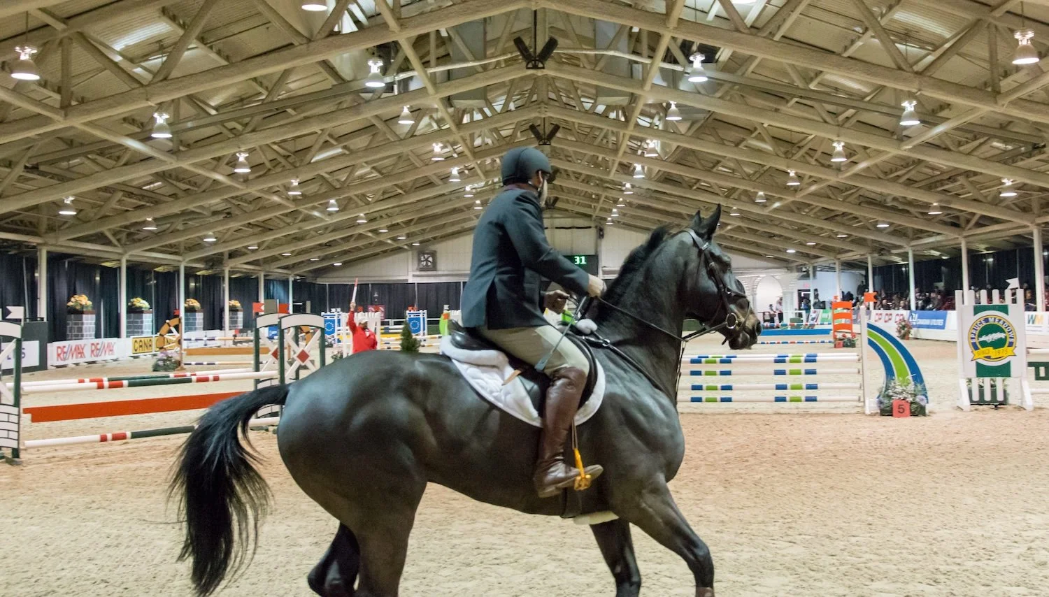 KVS Sport Horses principal Arie Koppe and his horse Dorado KVS competing at Spruce Meadows.