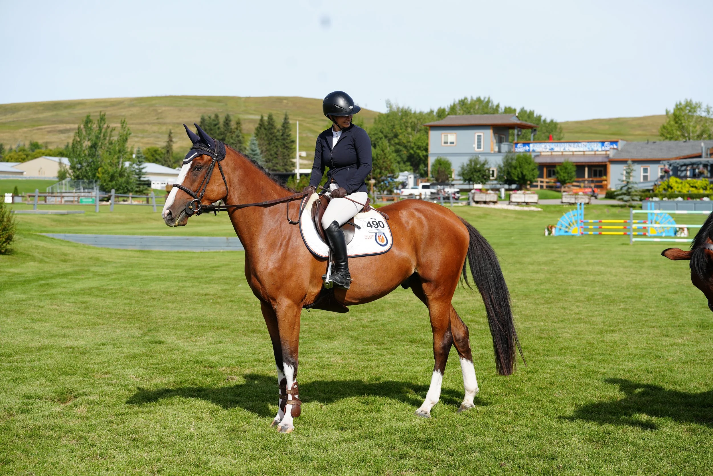 Sambuca KVS. 2022 Adequan JVH gelding. First place, Jump Alberta regional finals, RMSJ, 2026.  KWPN registered. For sale in Calgary, Alberta, Canada.