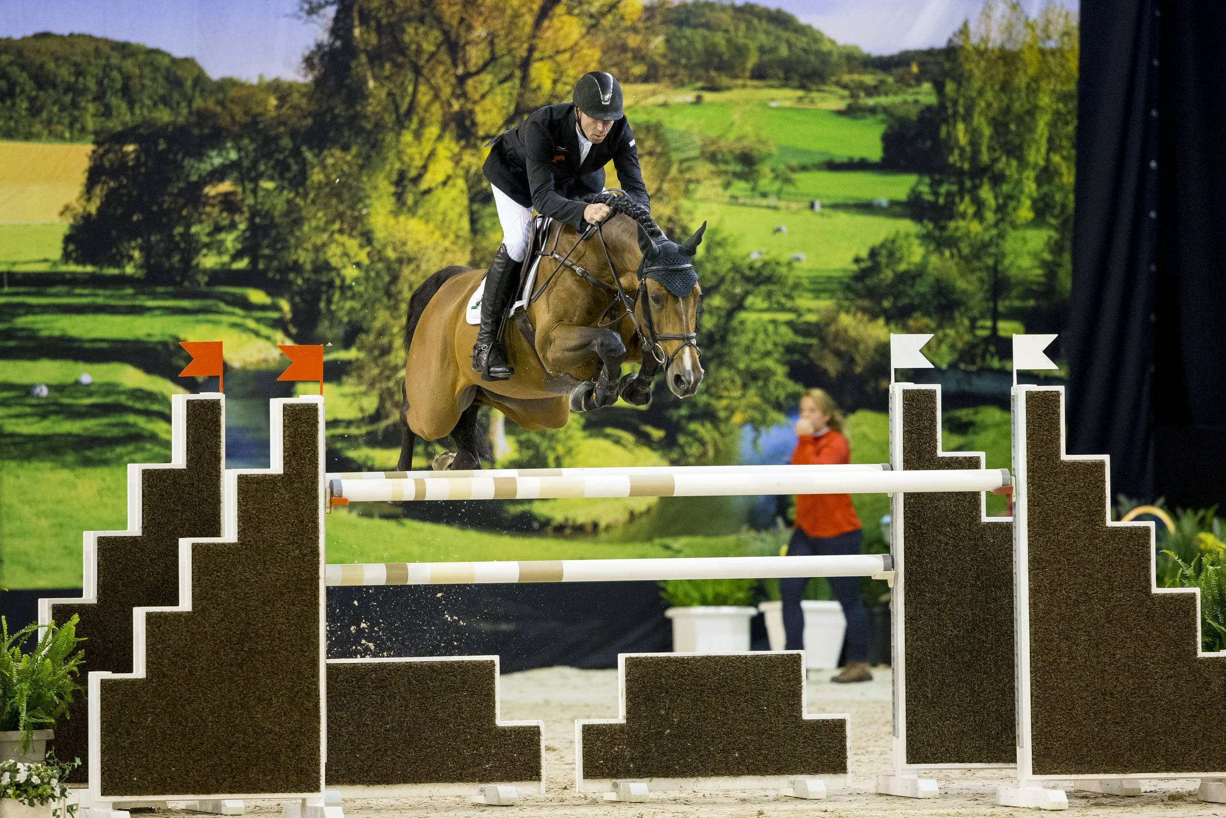 World top-50 jumper sire Carrera VD.