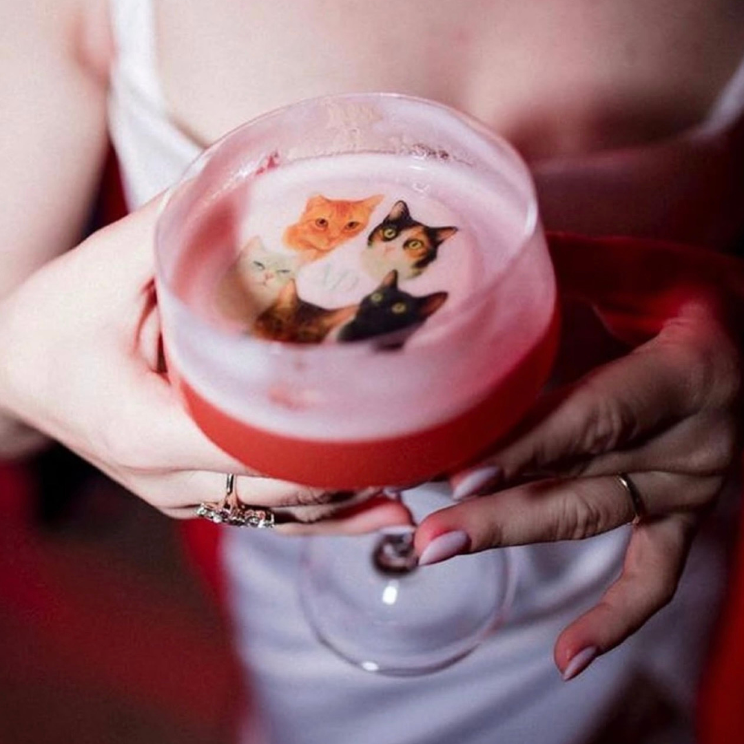 drinks-personalizados-wixbar