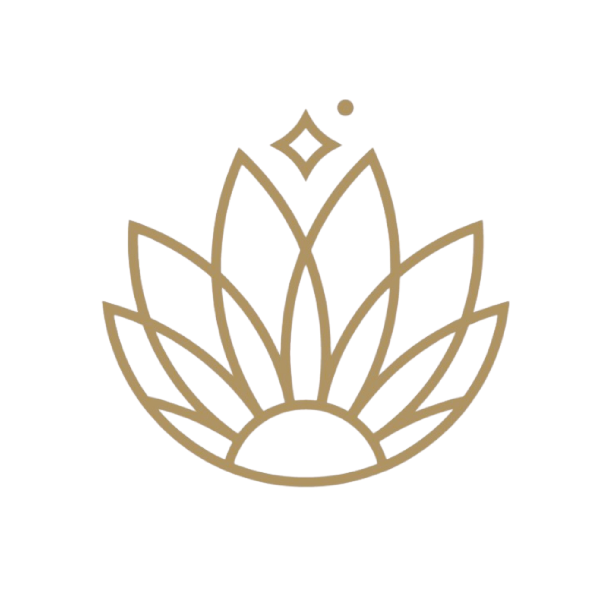 The IOIN Pathway for Regulation Certificate Program