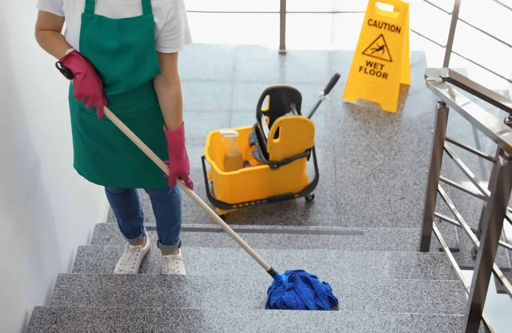 Regular Cleaning