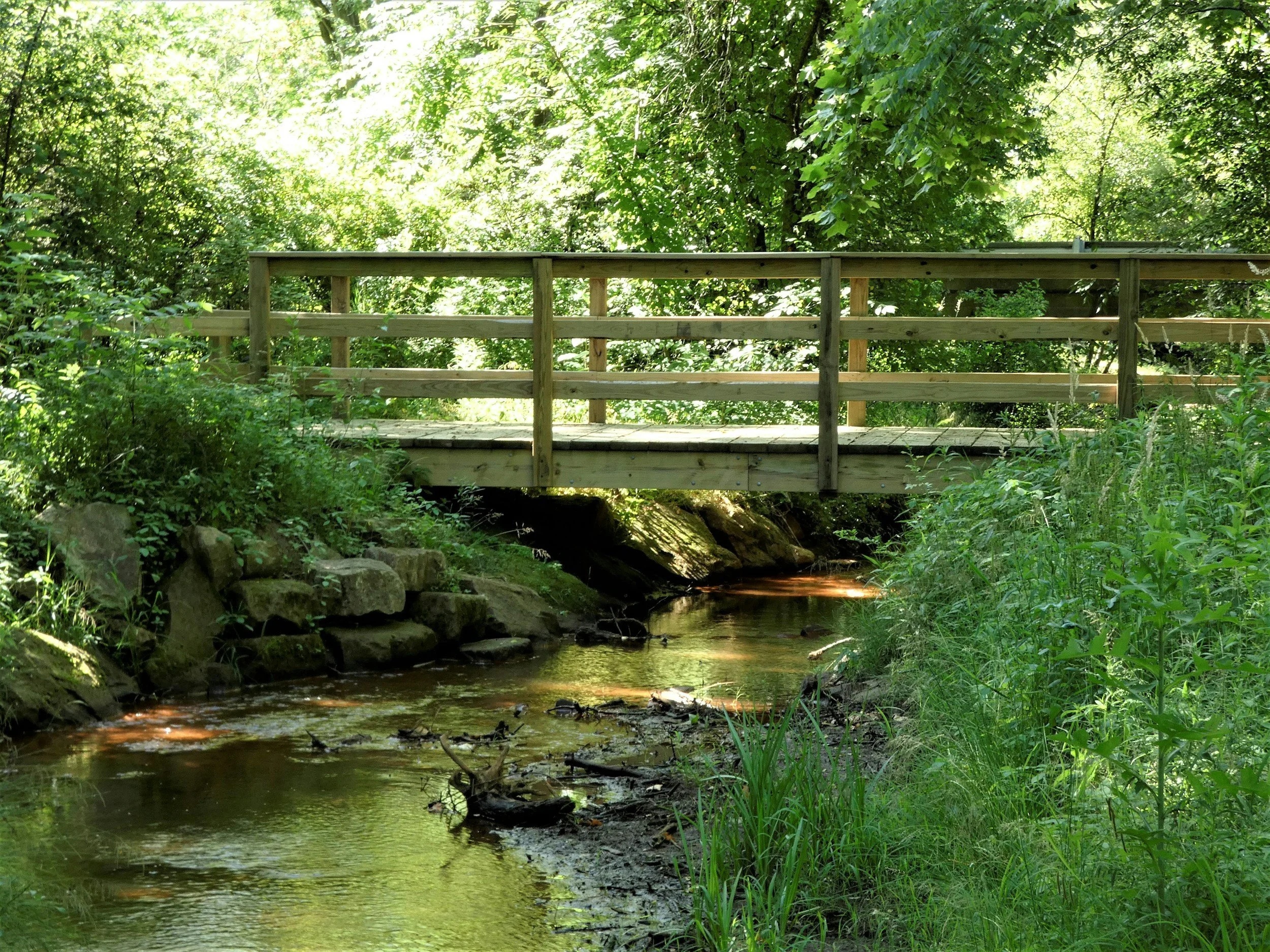 A wooden bridge crossing a small stream in a lush green forest, with sunlight filtering through the trees.