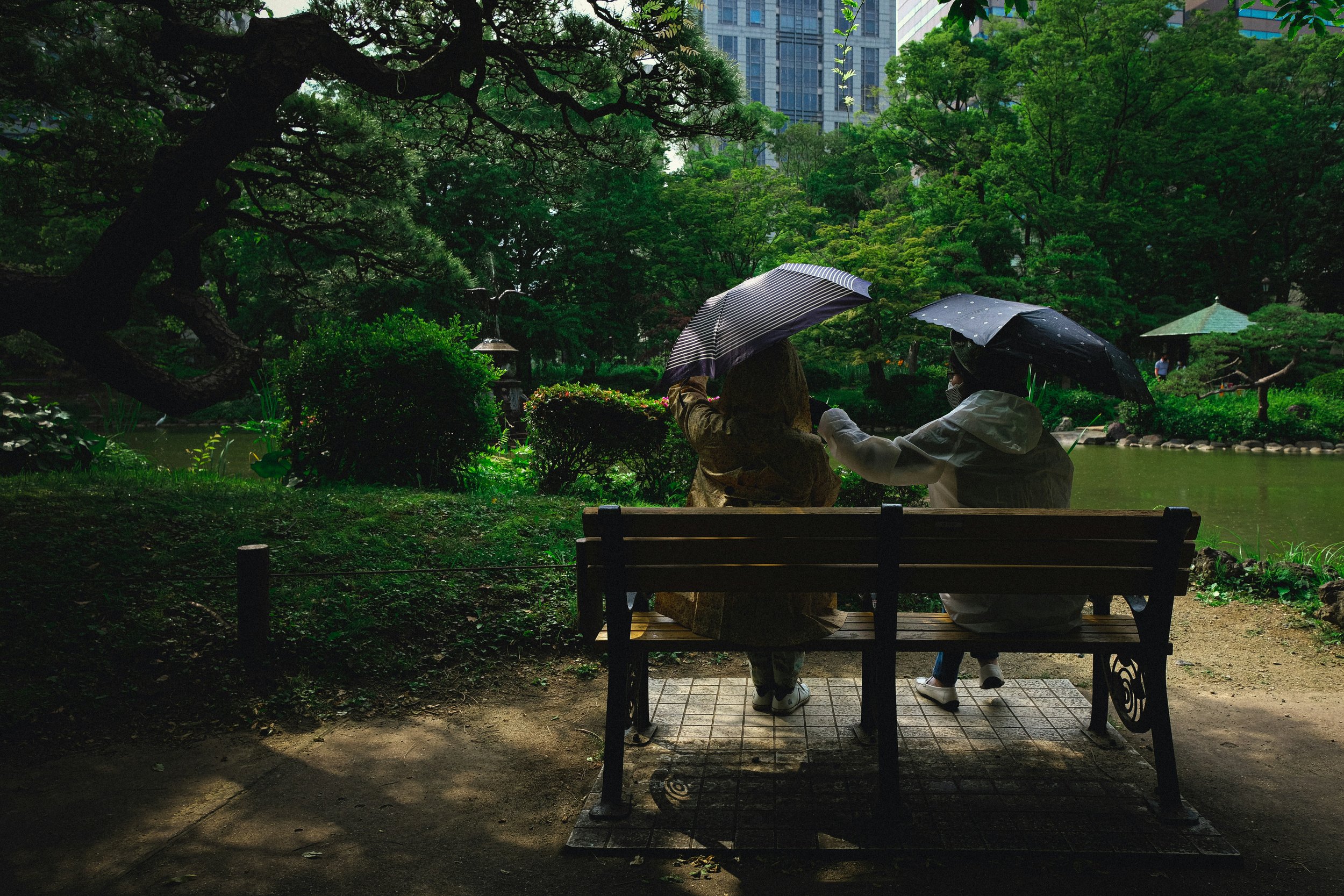Couple Sitting on a Bench in the Park