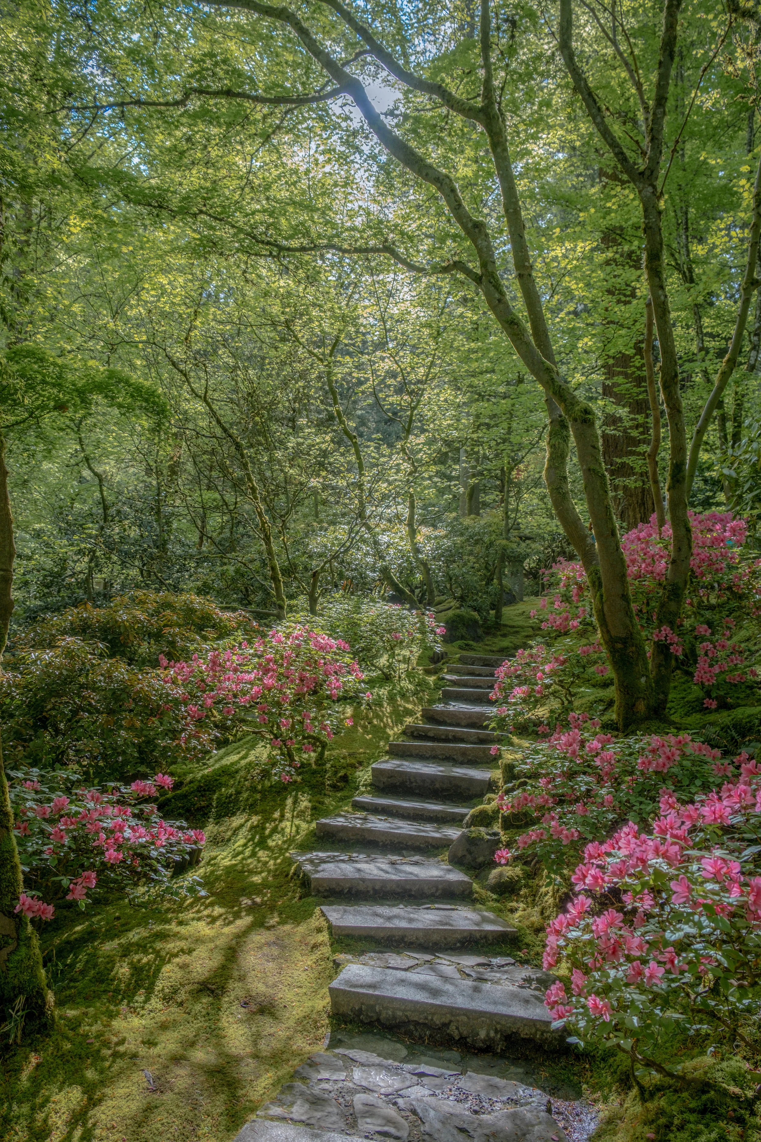 JapaneseGardensEdit-1-2.jpg