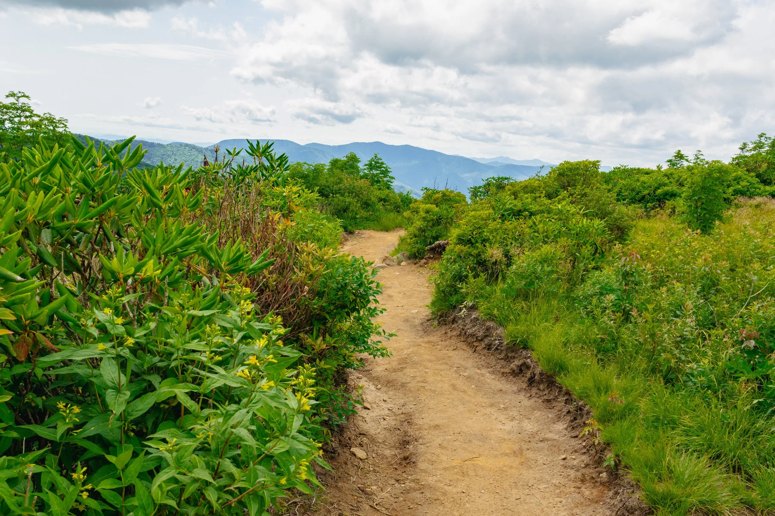 ArtLoebTrail-1.jpg