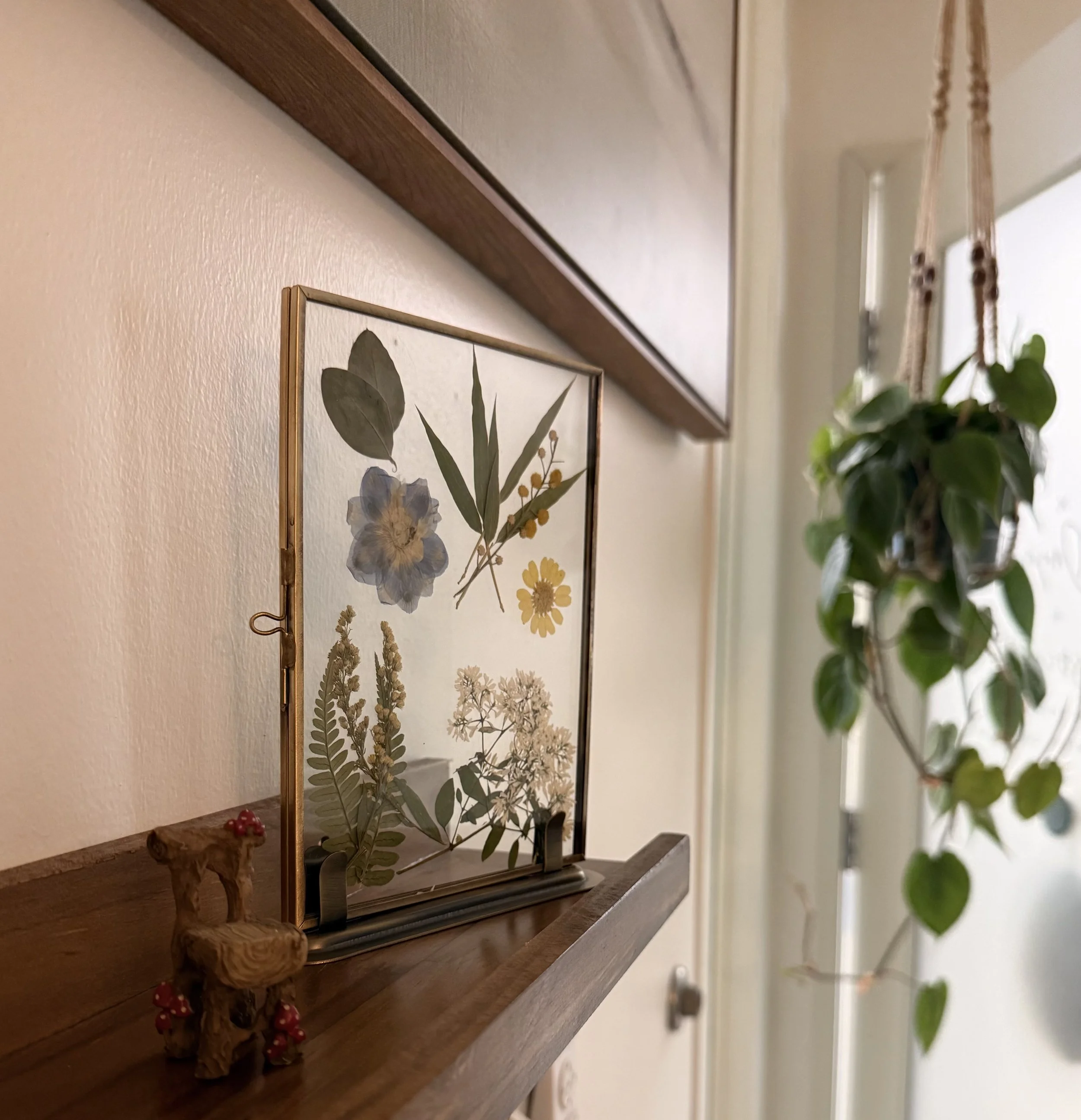 Decorative shelf with pressed flower display and a small pinecone sculpture, next to hanging green plant near a door.