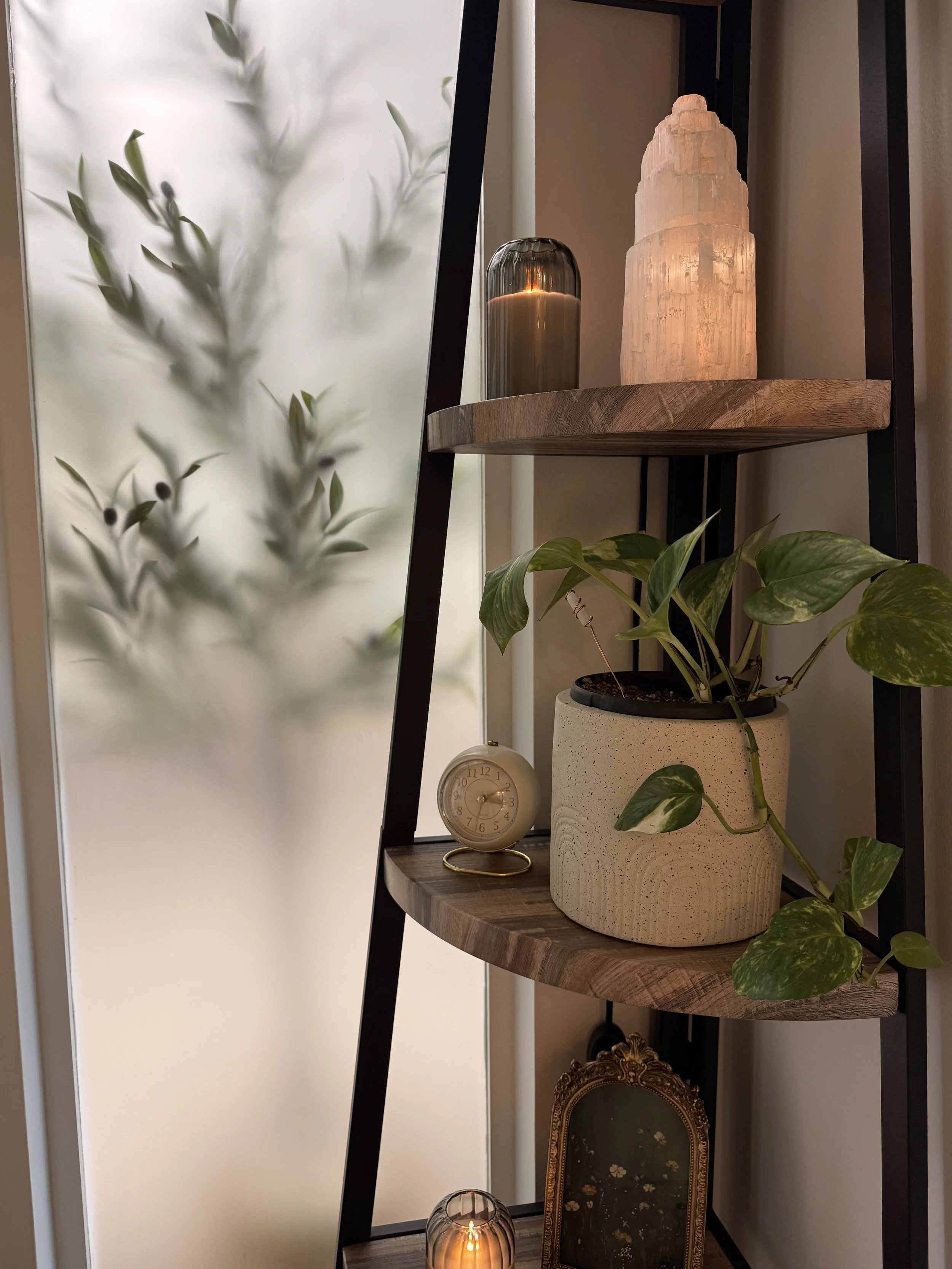 Decorative corner with a potted plant, a small clock, candles, and framed art on a multi-tier wooden and metal shelf, with a frosted glass door or window behind.