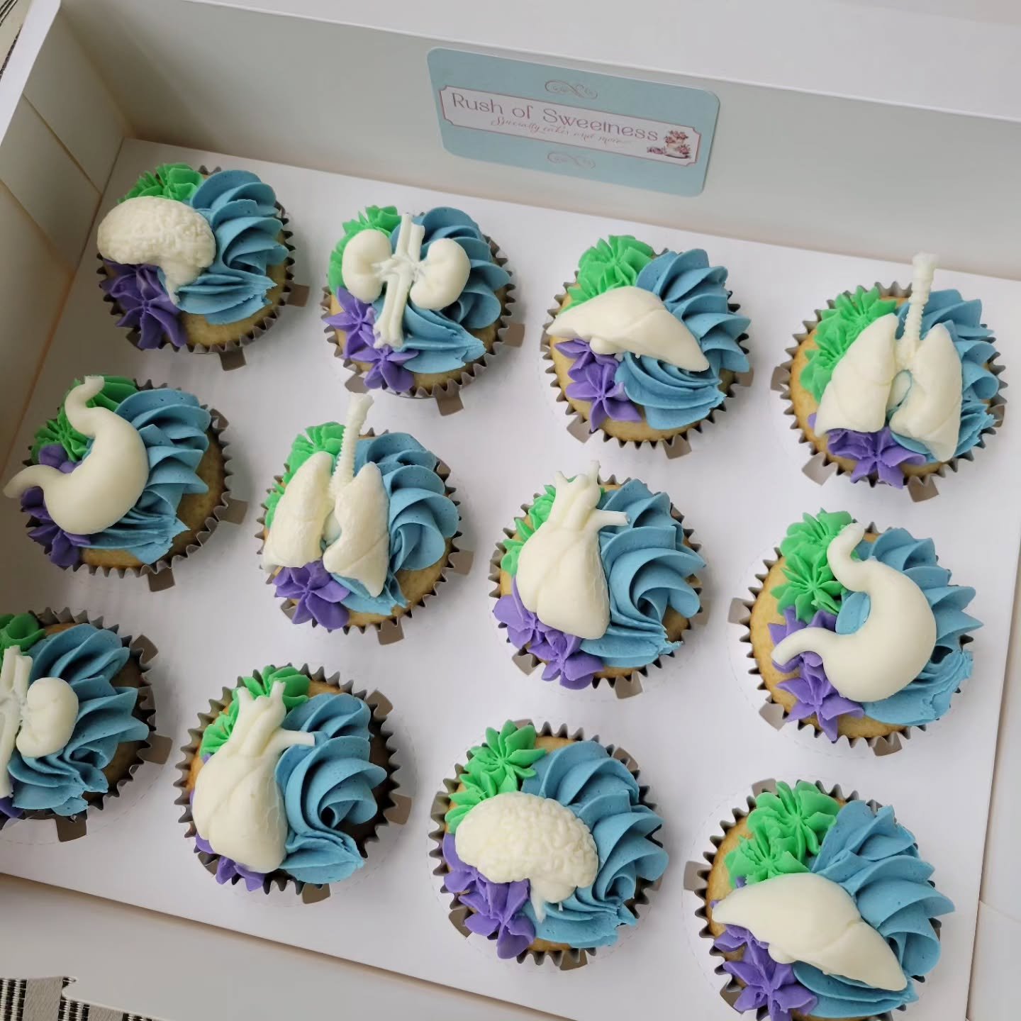 🫀Its Pathologists' Assistant day! I had the honor of making organ mold cupcakes for the Path Assistant group at Health Partners in the cities 

🫁PAs supporting PAs, I love it! I work in such an amazing field with amazing people! Happy Path Assistan