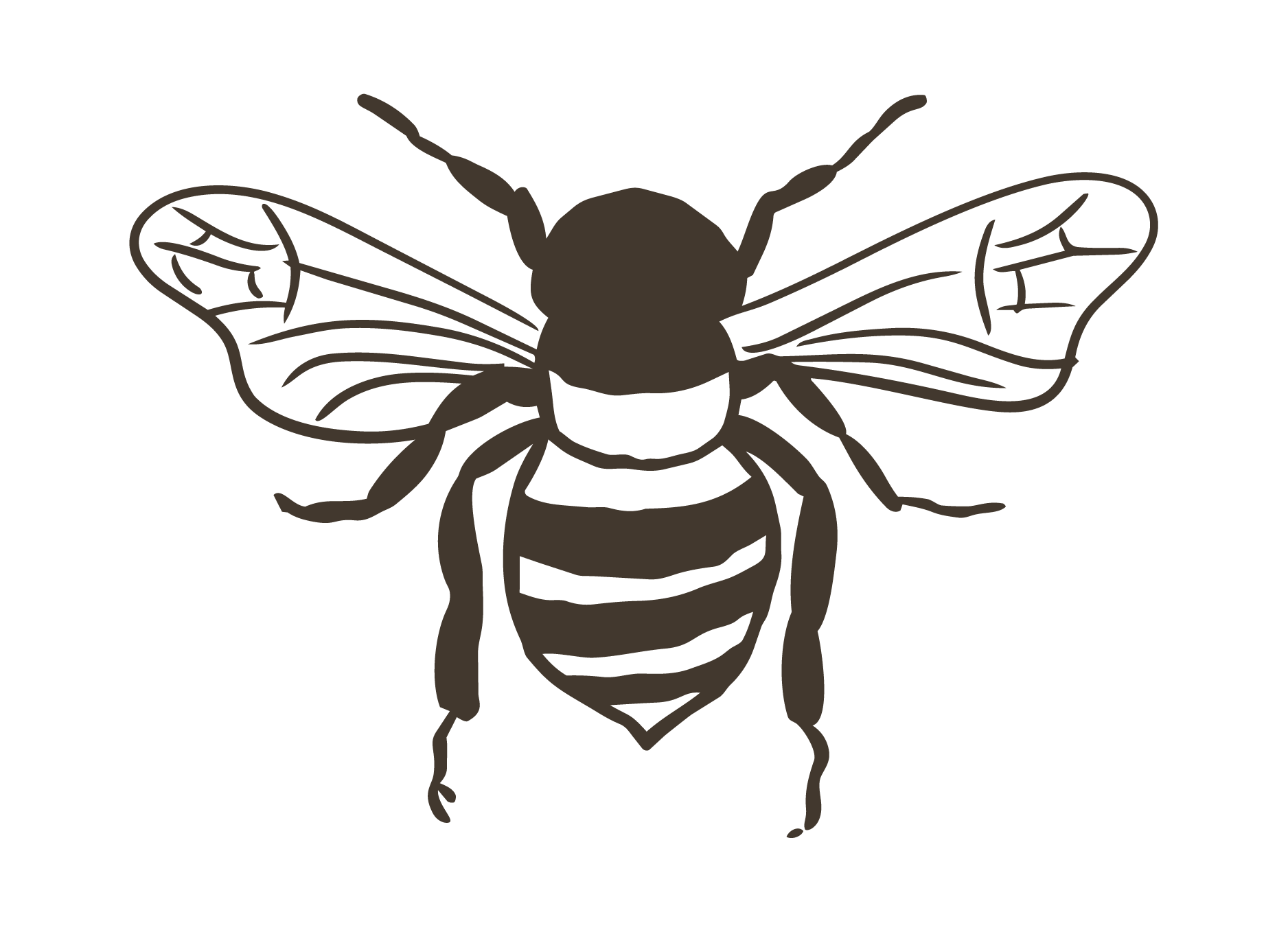 Illustration of a bee with detailed wings and striped abdomen.
