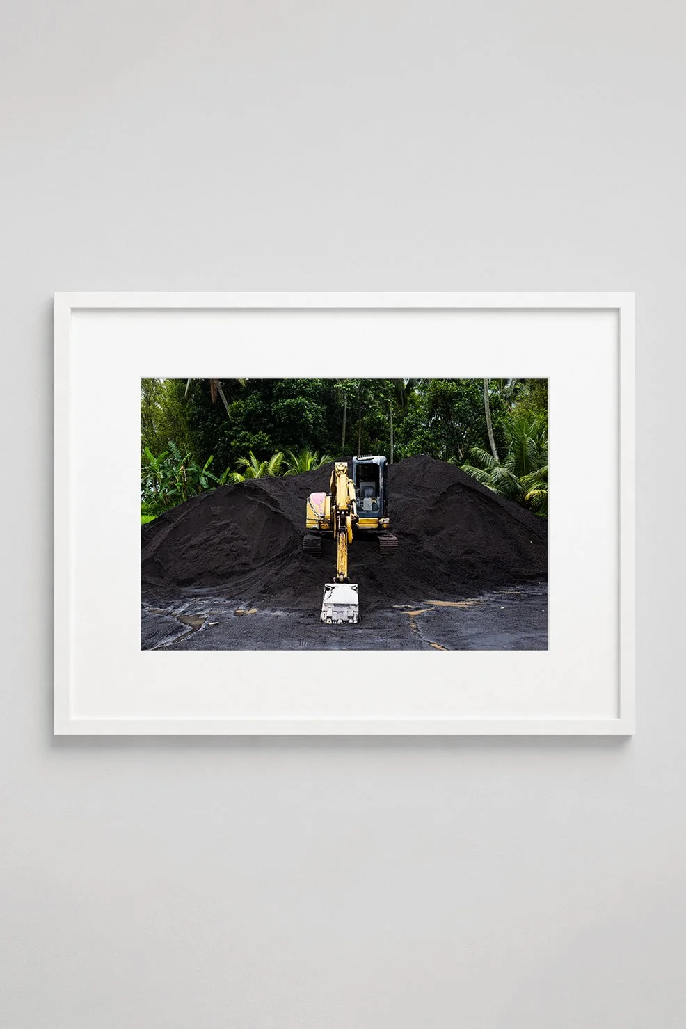 Jungle-Excavator-Framed.jpg