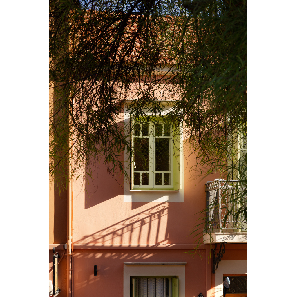 Window Through the Tree