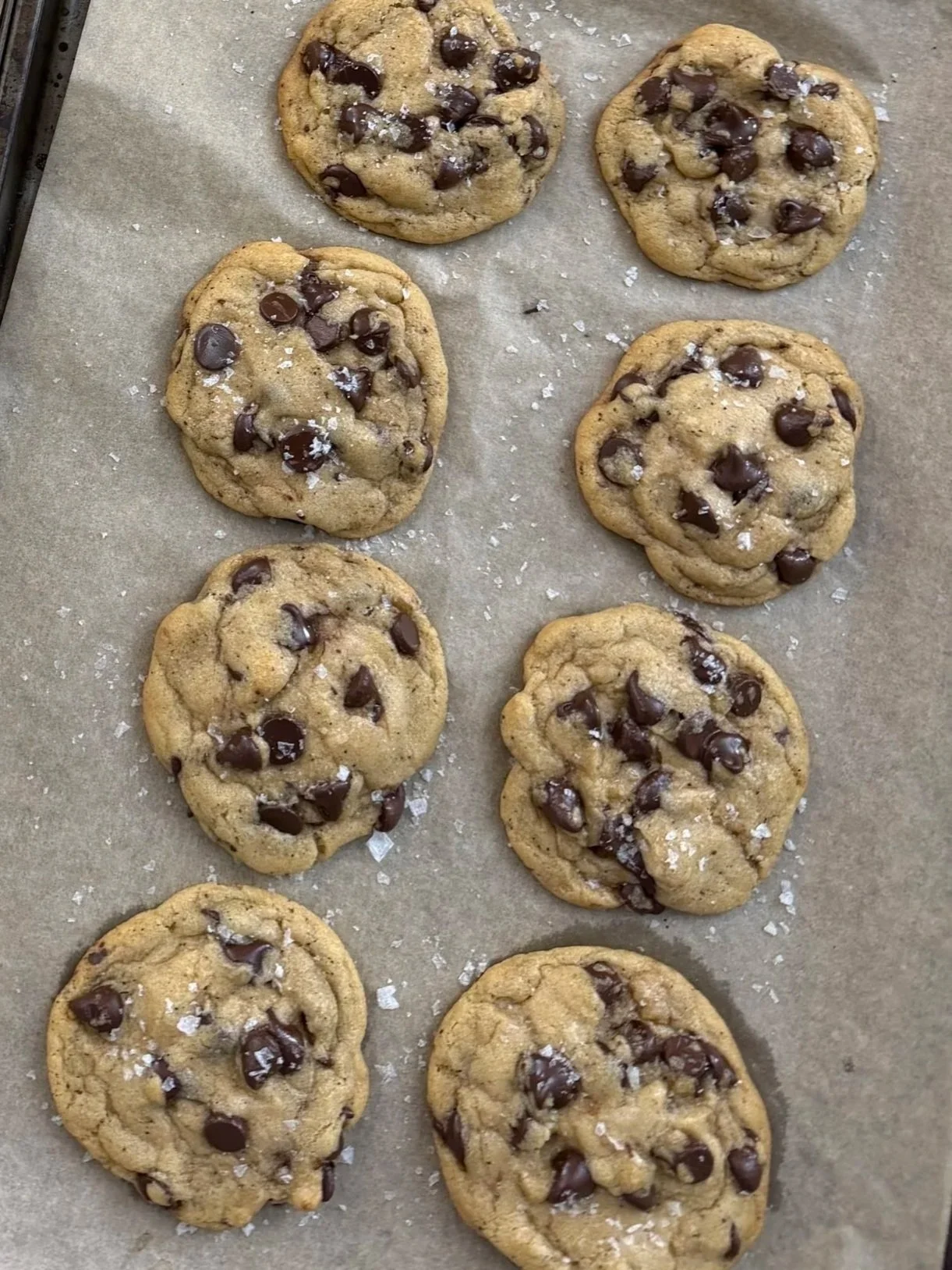 Chocolate Chip Cookies (12)