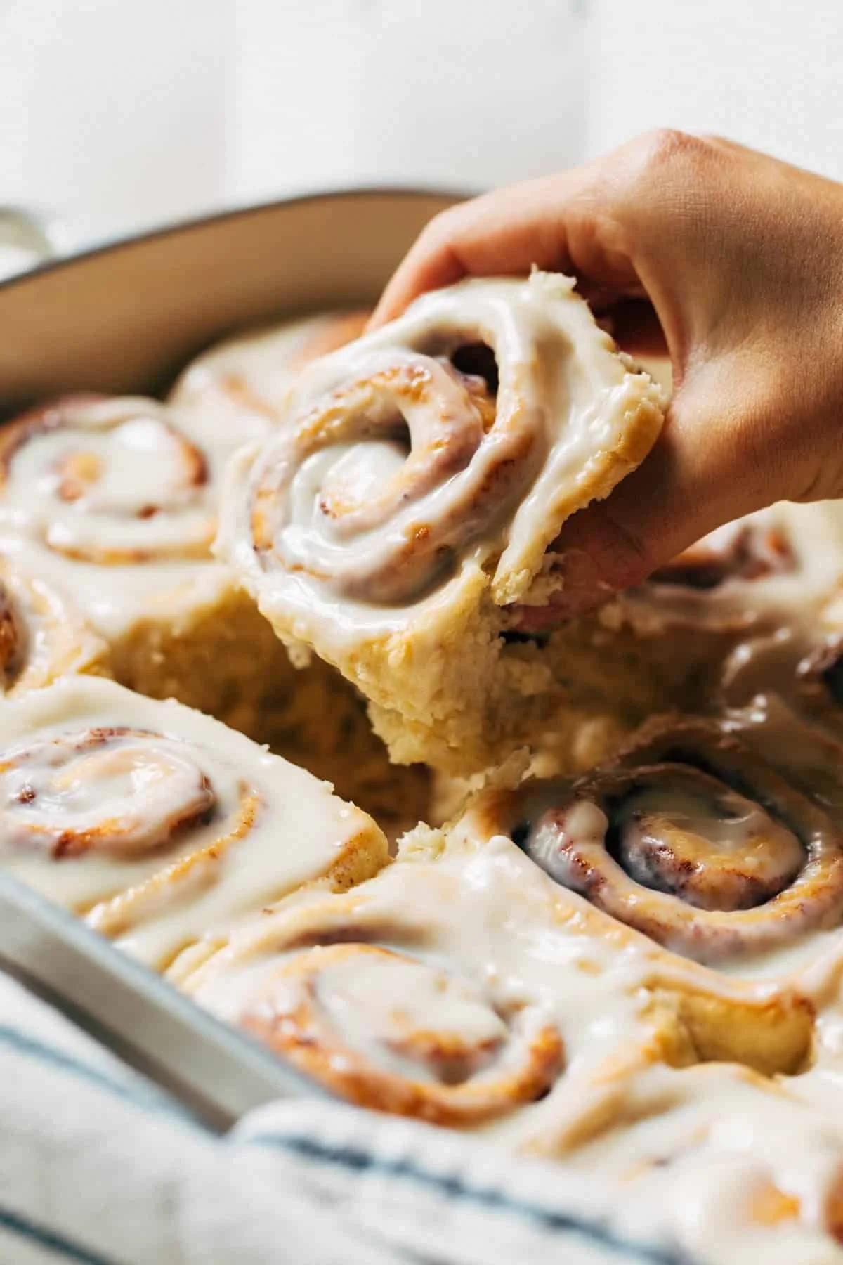 Cinnamon Rolls & Cream Cheese Frosting (6 pieces)