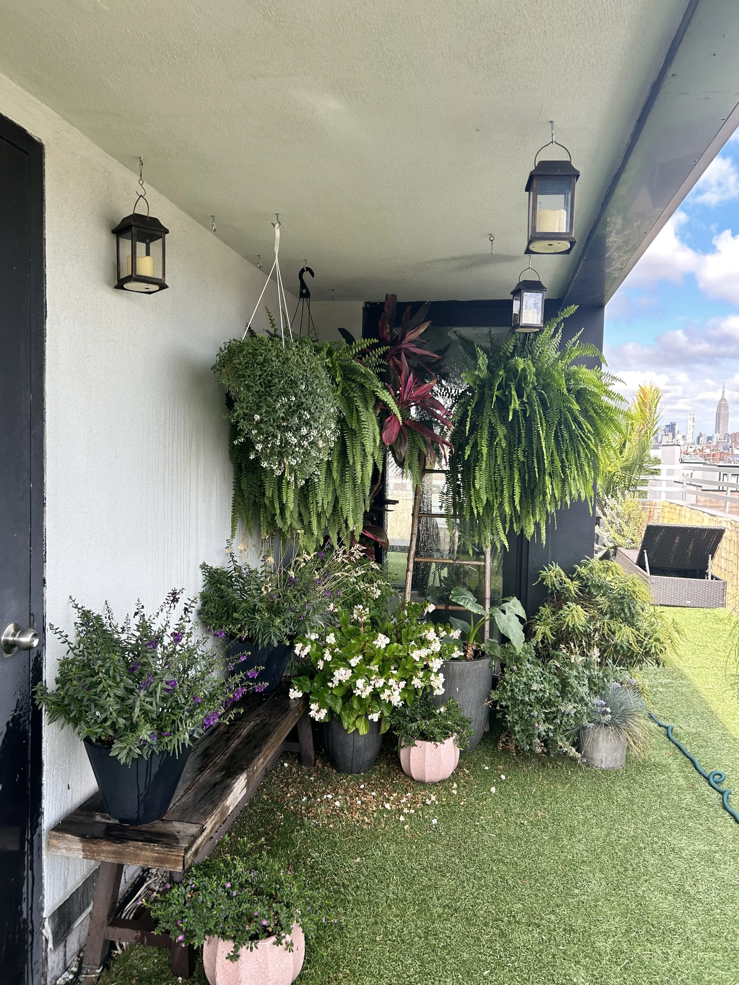 Balcony with hanging and potted plants, including ferns and flowering plants, alongside outdoor lanterns and a city skyline in the background.