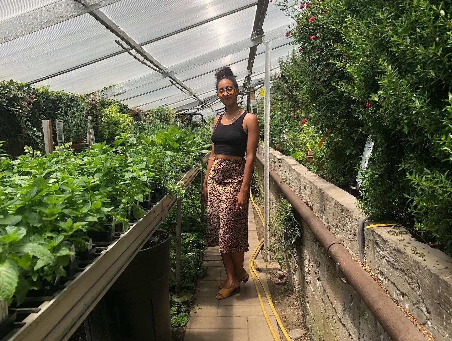 In Green Designer, standing inside a greenhouse surrounded by various green plants and flowers.