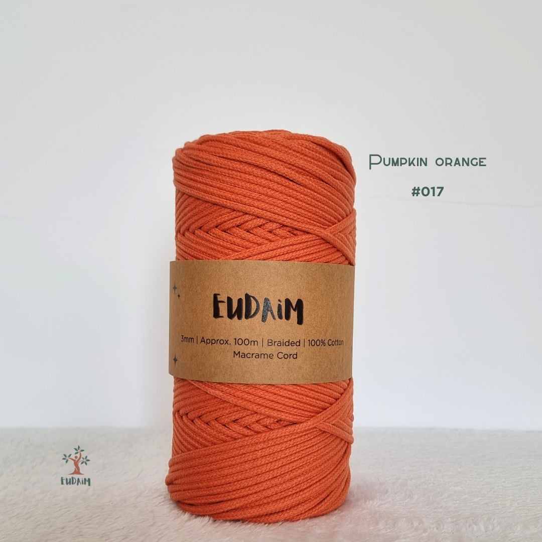 017 - pumpkin orange.png