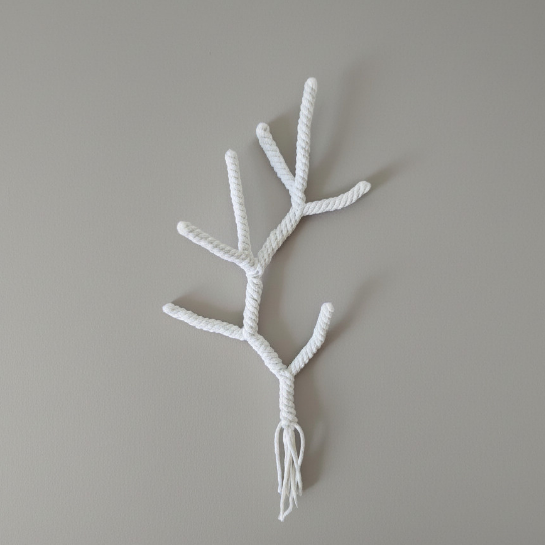 Staghorn Coral Macrame Kit