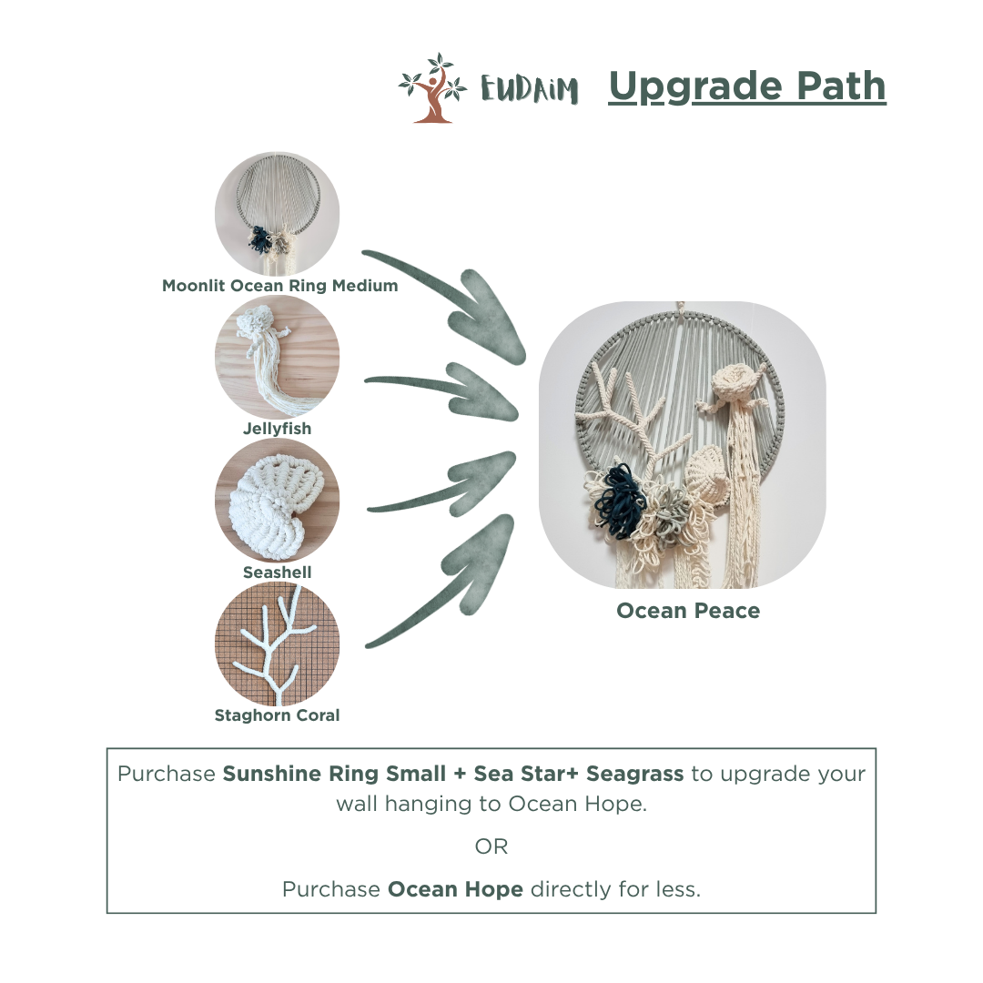Ocean Peace upgrade path.png
