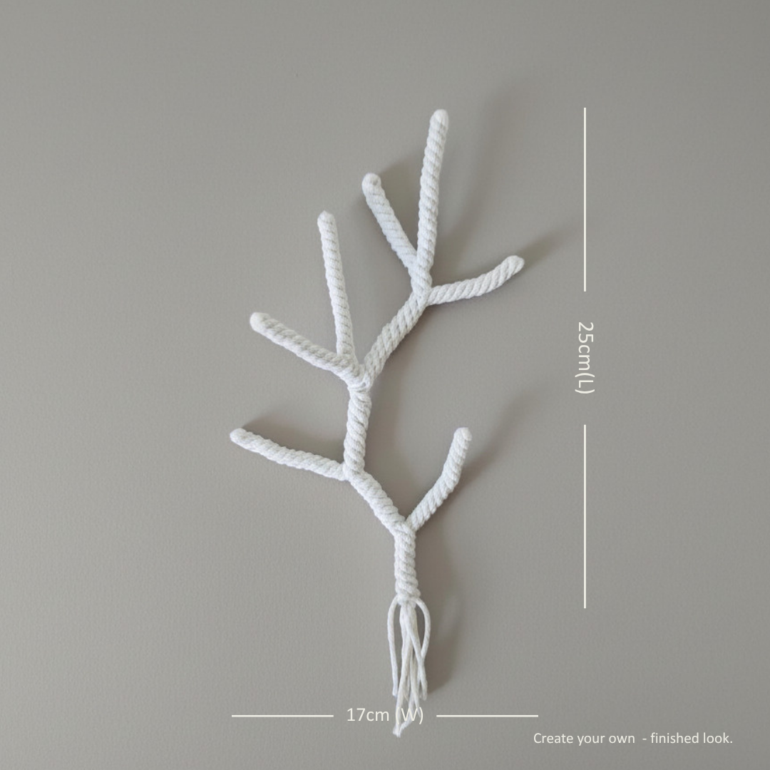 成品 Dimensions.png