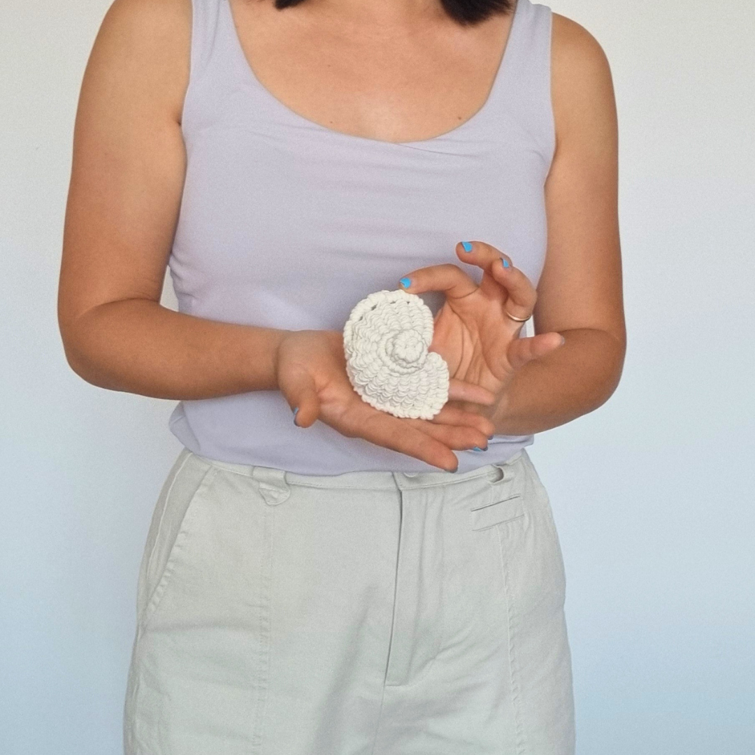 Seashell held for scle.png