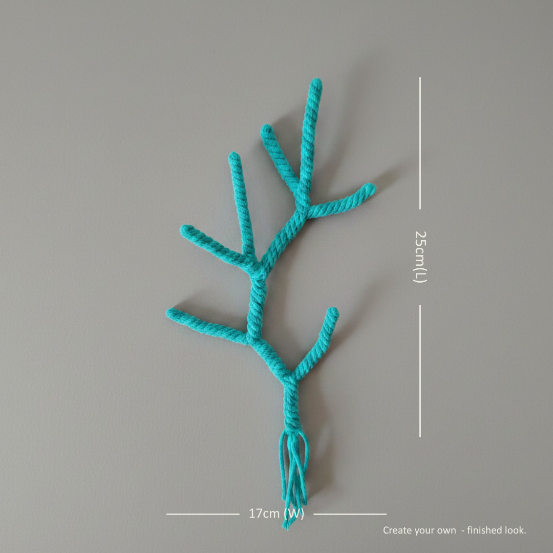 成品 Dimensions (2).png
