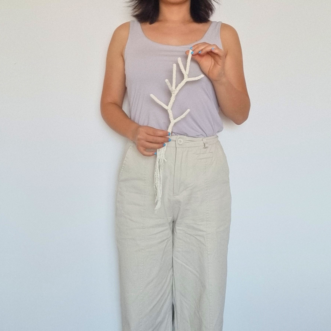 Staghorn coral held for scale.png
