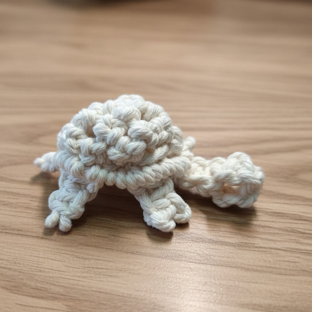 Turtle Macrame Kit