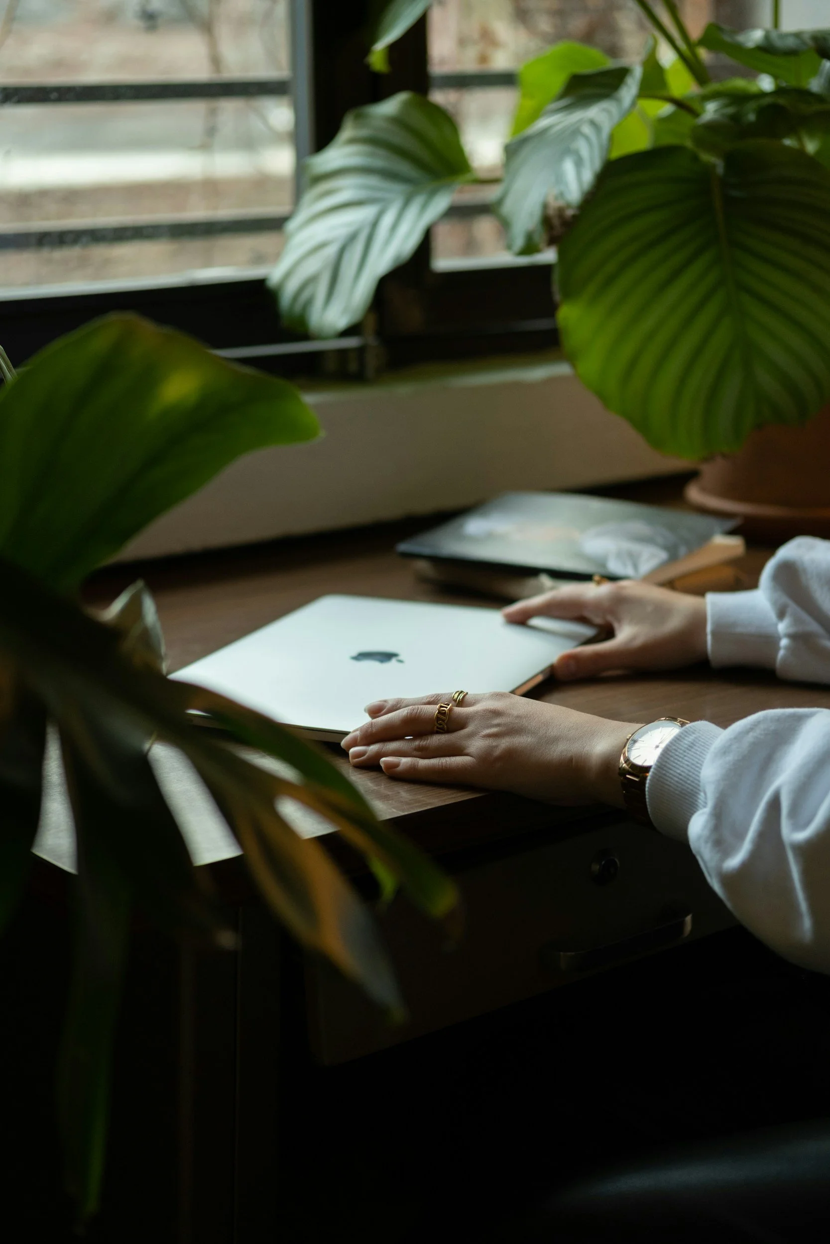 Close-up of a person’s hands working on a silver laptop on a wooden desk, with potted plants and a window in the background.