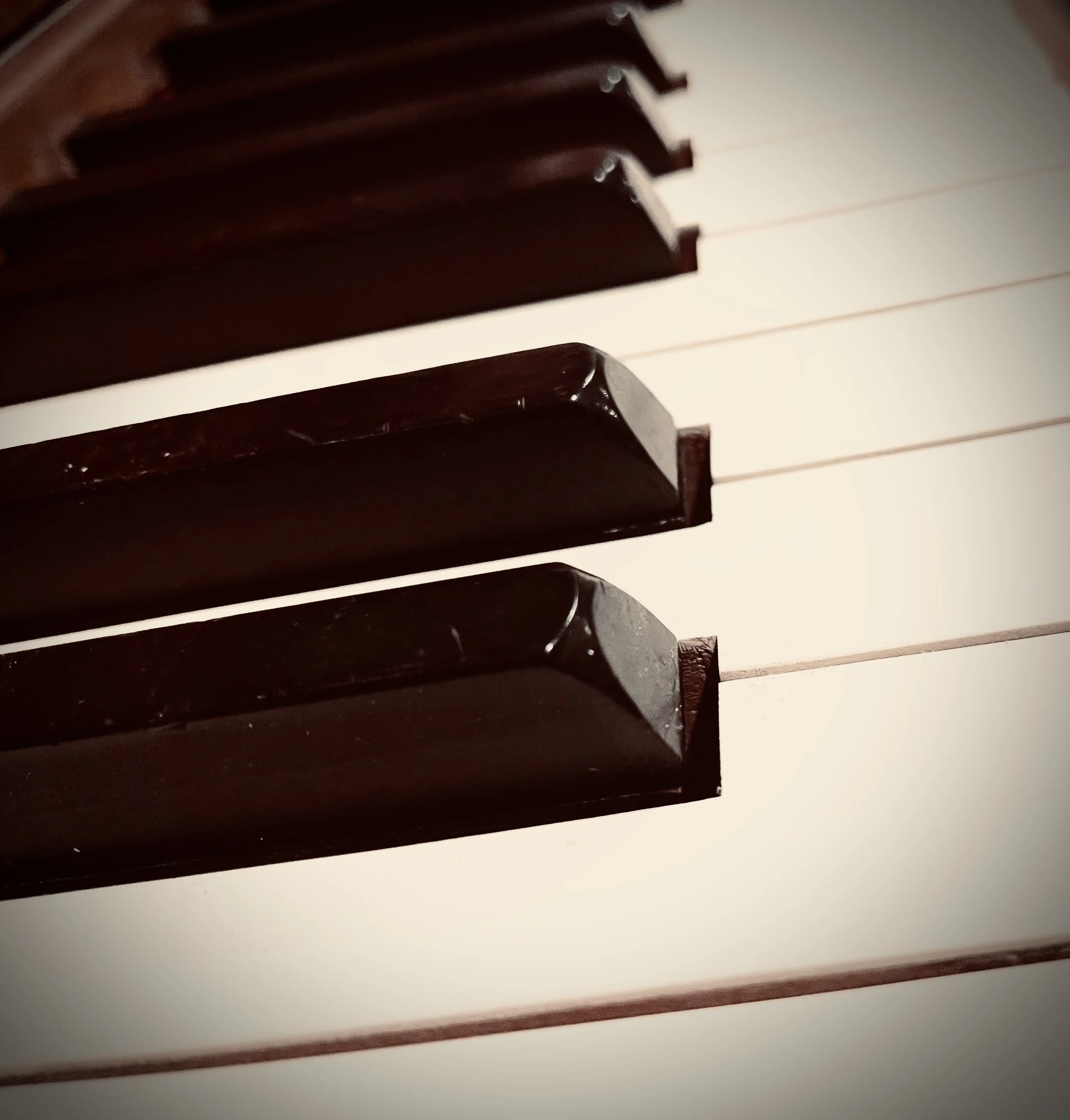 Close-up of piano keys, with dark black keys and white keys, taken from a side angle.