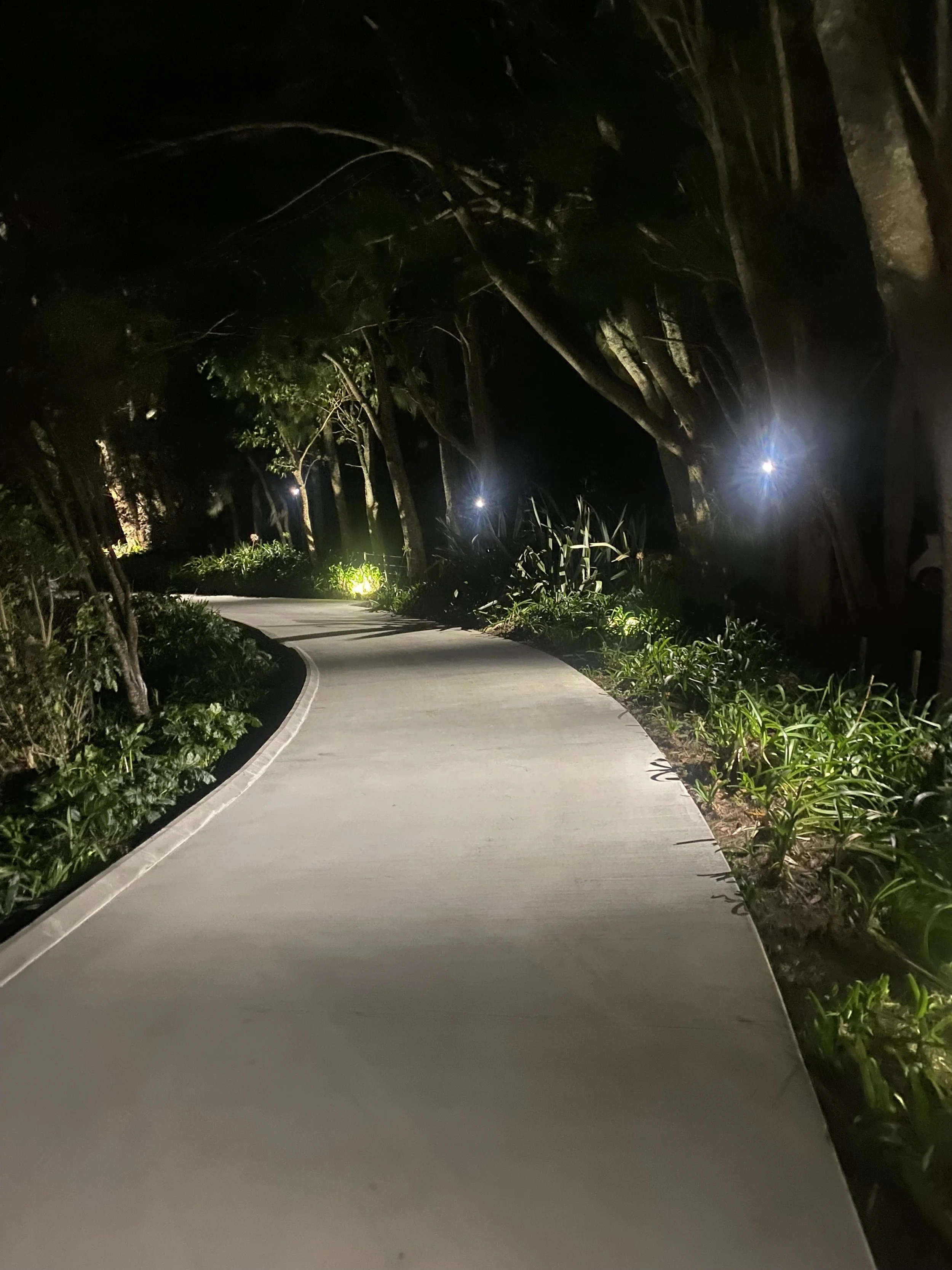 A winding paved pathway through a lush, green park at night, illuminated by a few bright lights, with tall trees and plants lining the sides.