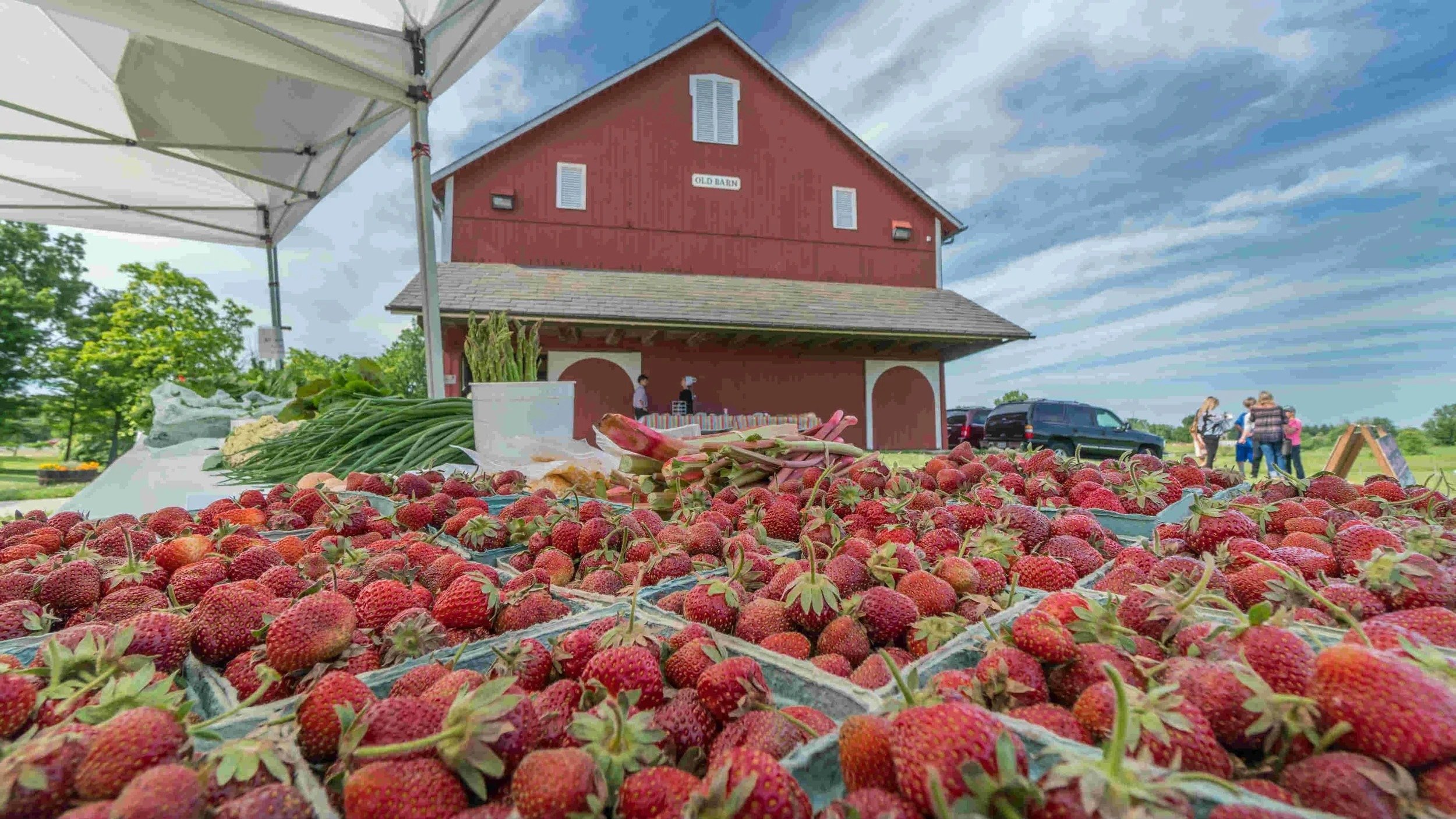 Exploring Fort Wayne's Vibrant Farmers Markets