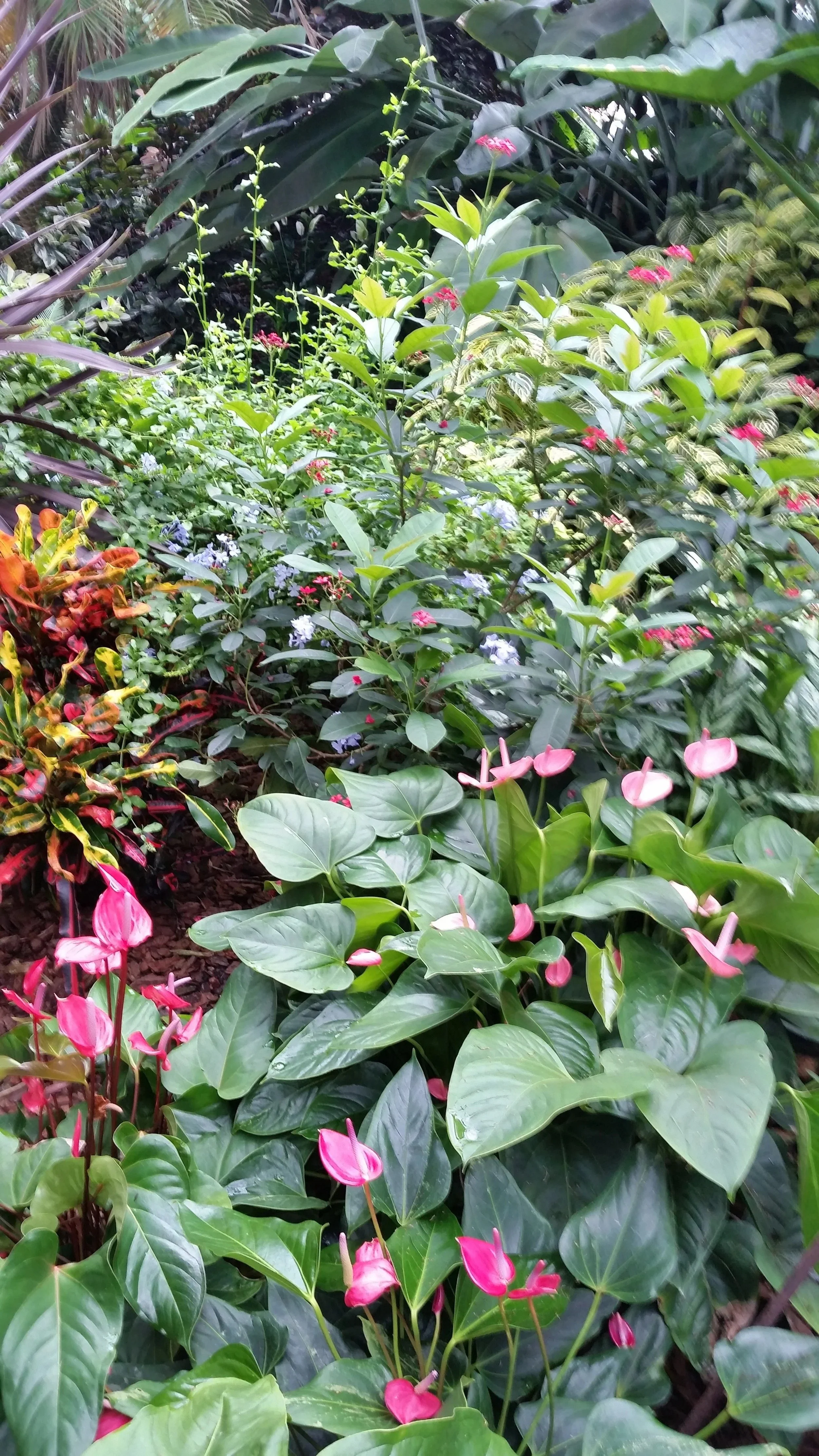 imgi_30_20160614_110757.jpg