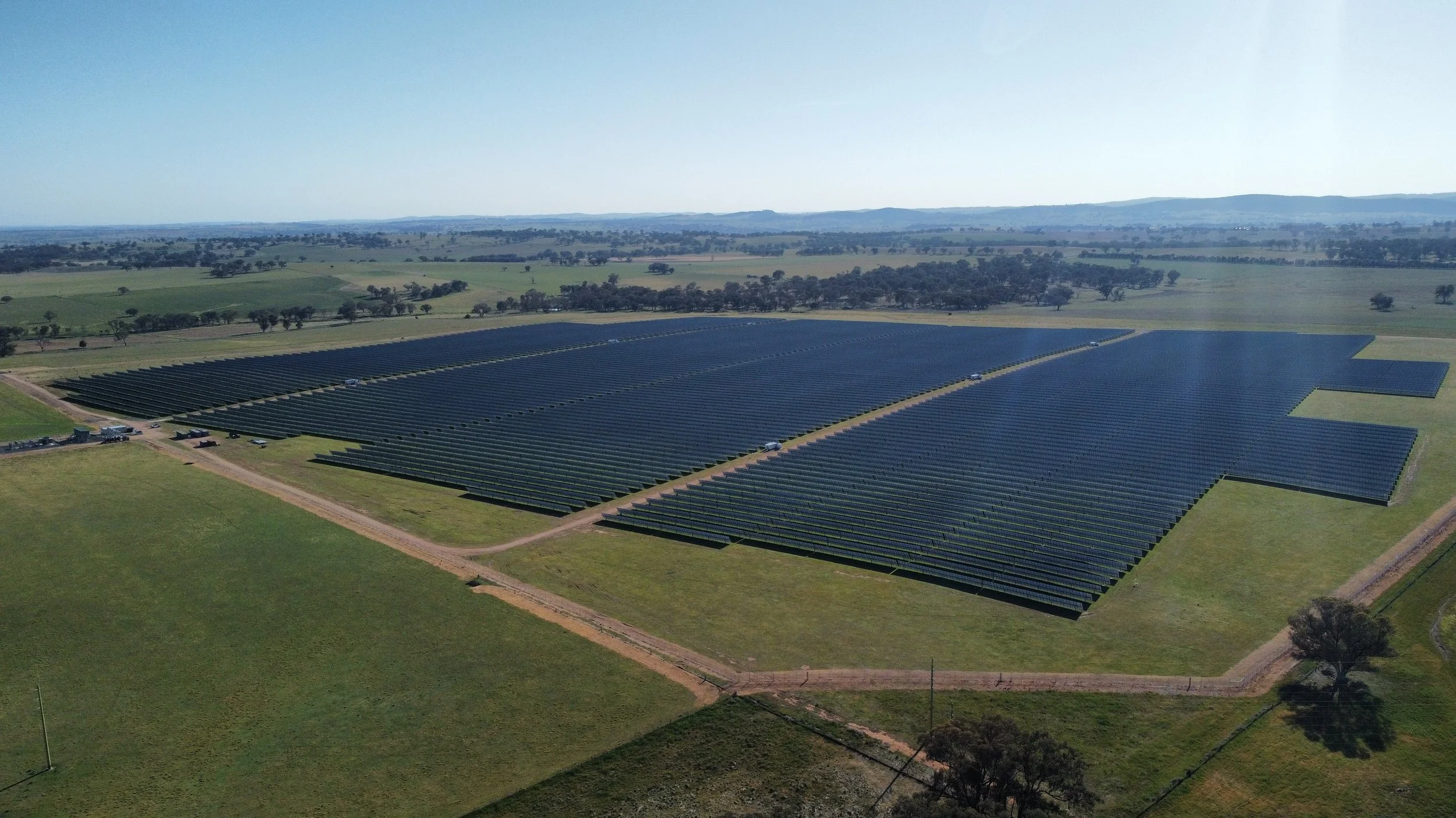Molong 1.jpg
