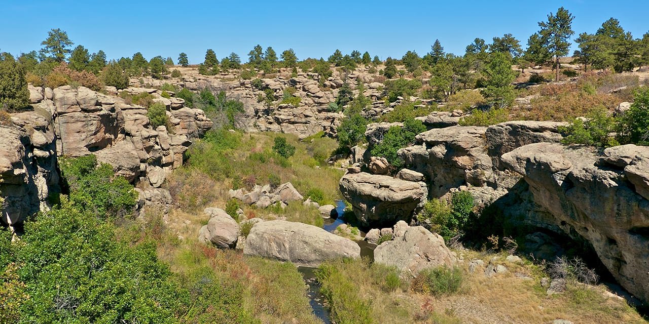 A rocky canyon with large boulders, sparse trees, and green shrubs under a clear blue sky.