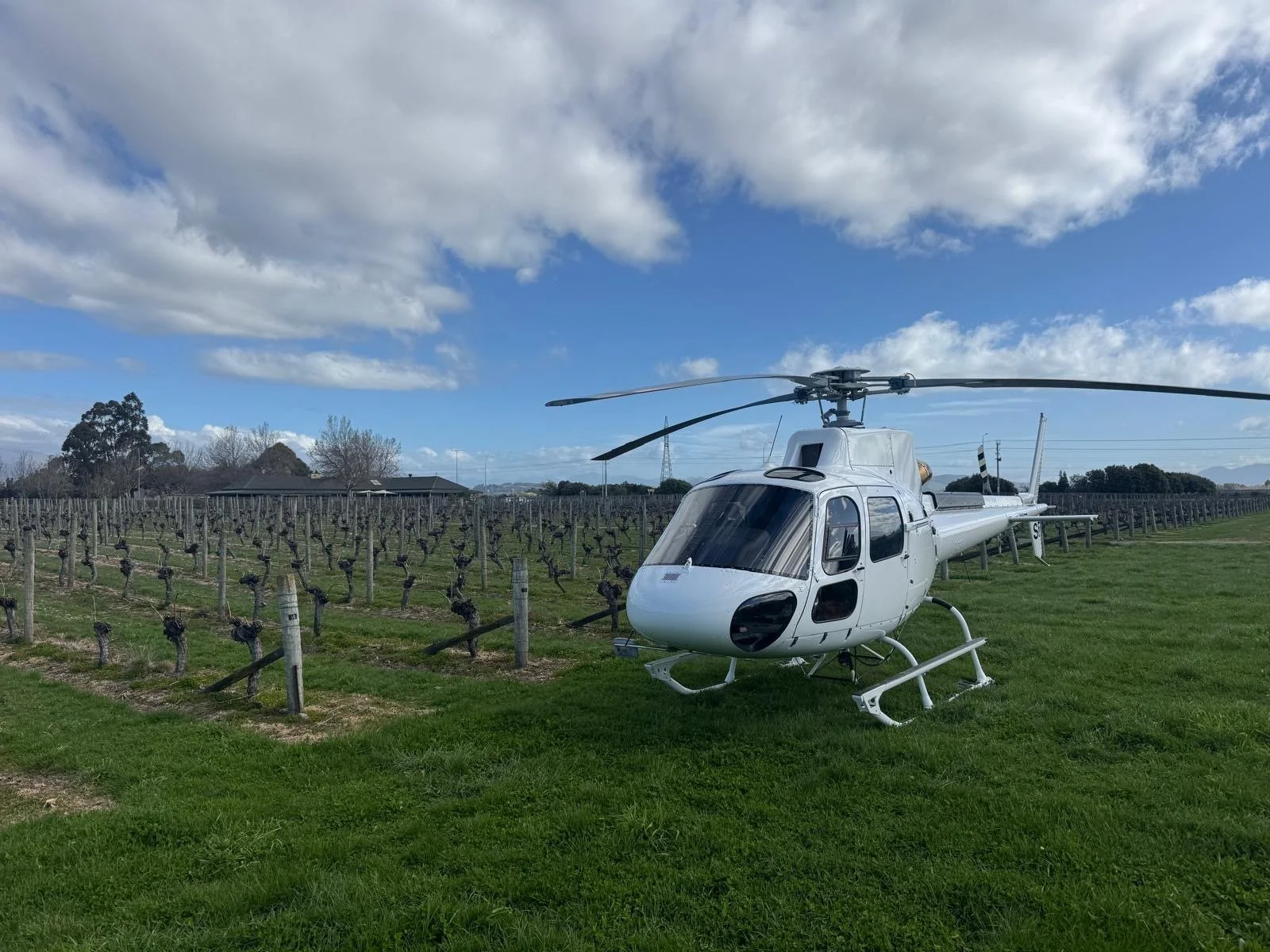 Researchers working in a field with tall grasses next to a black helicopter, mountains in the background, and a clear blue sky.