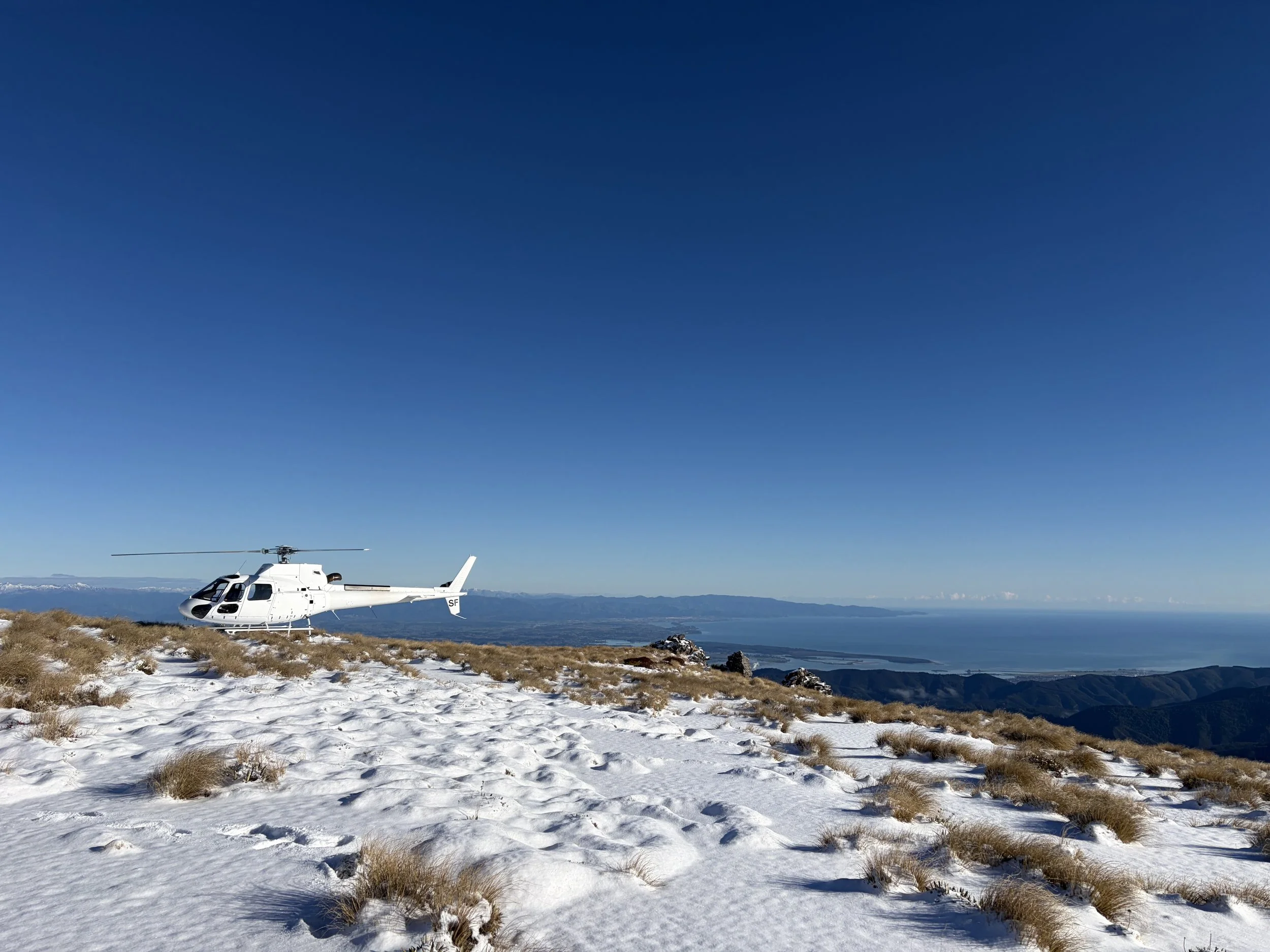White helicopter parked on a snowy hilltop with grasses, overlooking mountains and a large body of water under a clear blue sky.