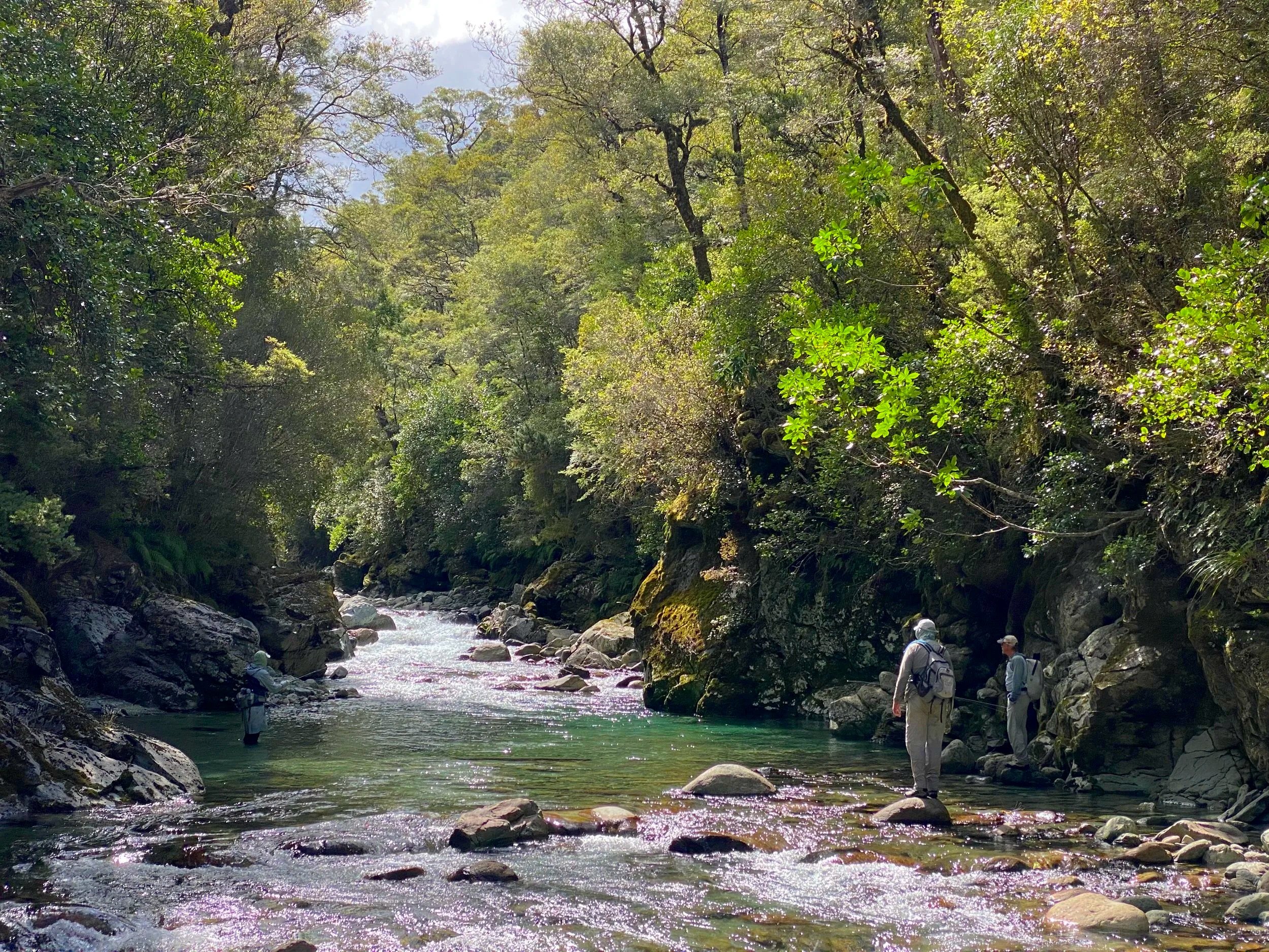 A group of hikers standing near a flowing river in a lush, dense forest with tall trees and green foliage.