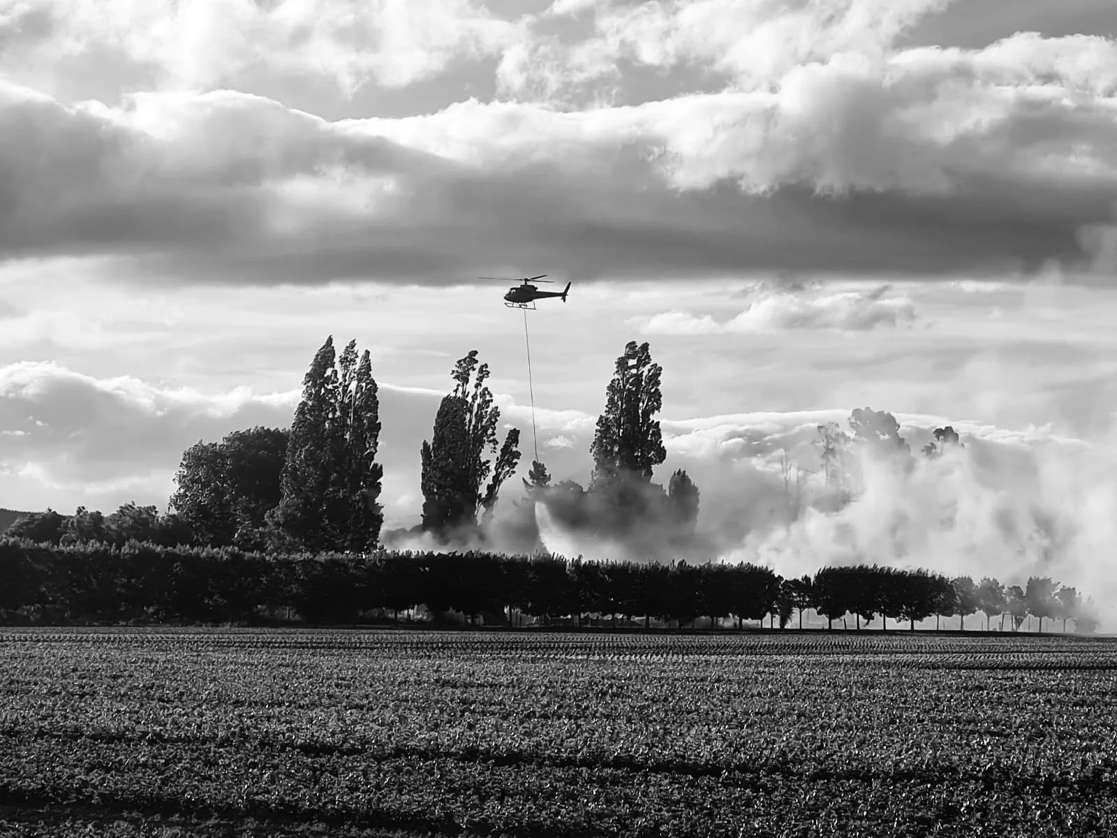 A helicopter flying above trees and a farm field in black and white, with clouds and mist in the sky.