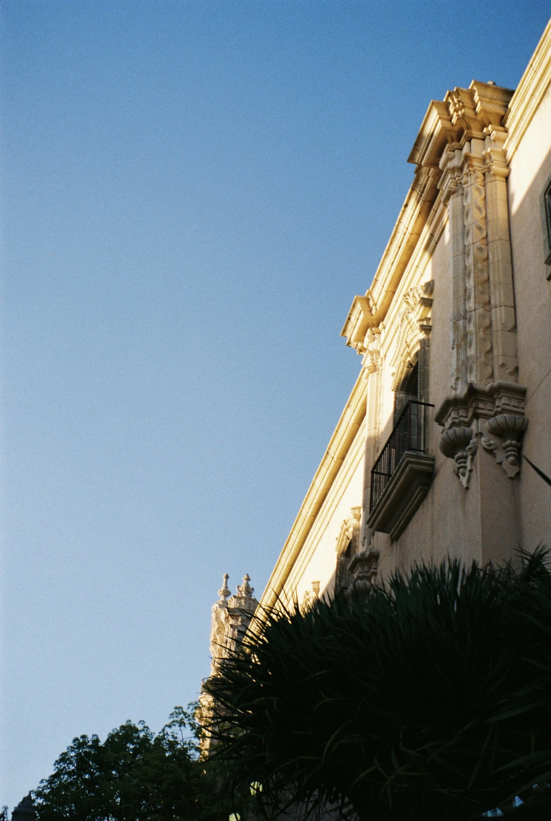 IMG_7090.jpg