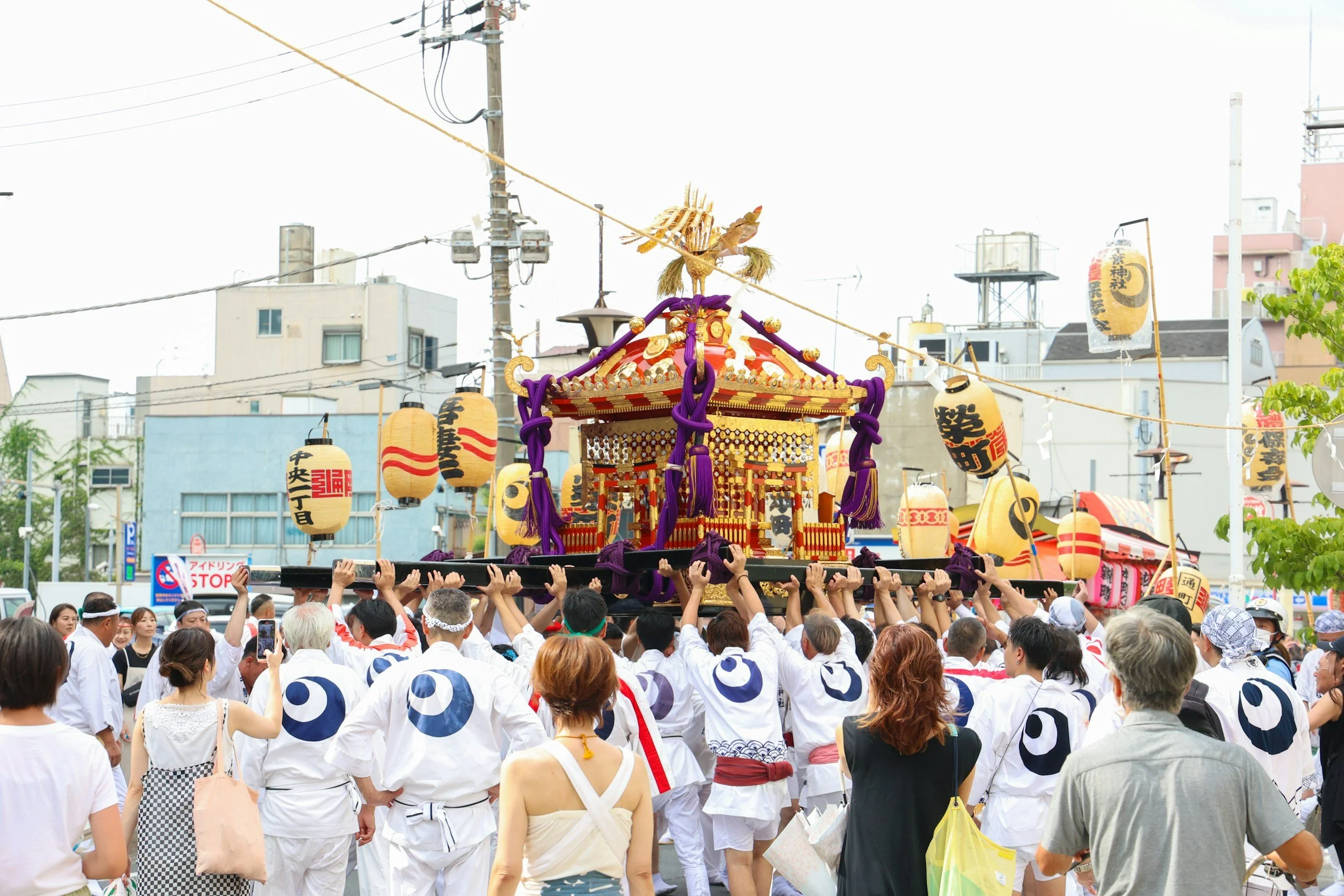 Experience the Energy of Tokyo’s Sanja Matsuri with LoWitten