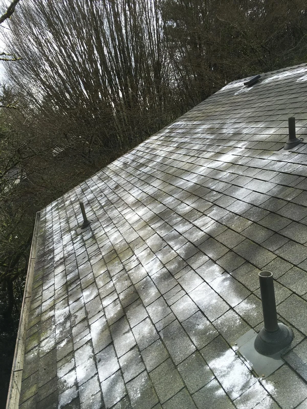 PHOTO-2026-03-30-22-02-33 9.jpg