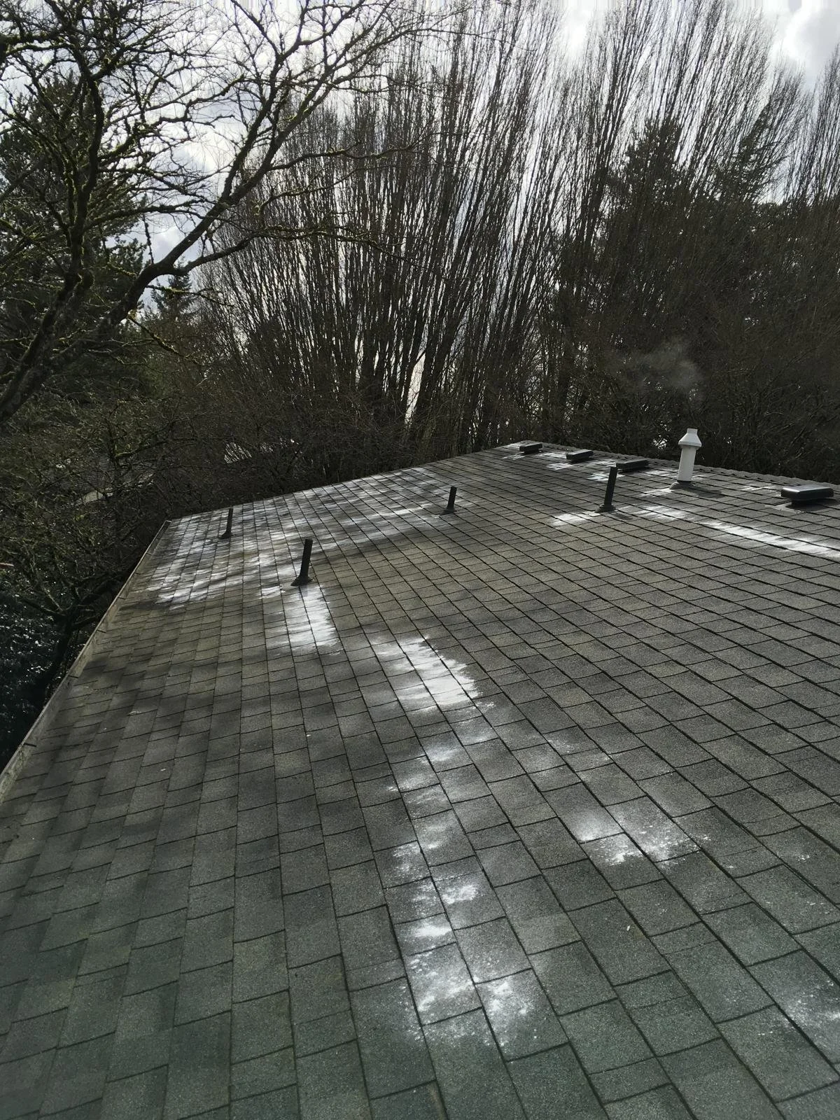 PHOTO-2026-03-30-22-02-33 7.jpg