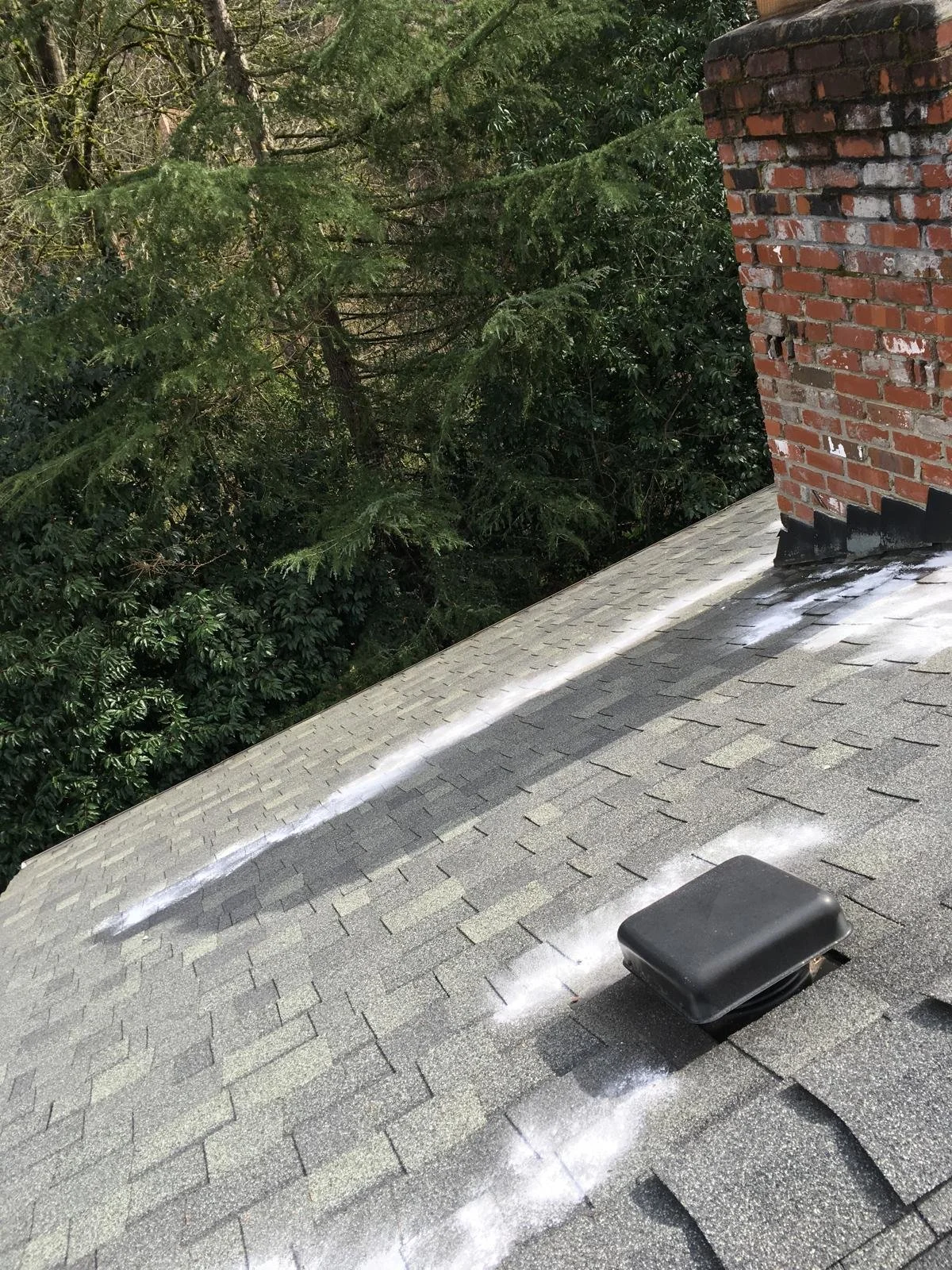 PHOTO-2026-03-30-22-02-33 3.jpg