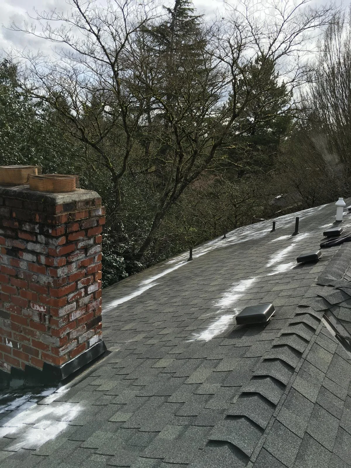 PHOTO-2026-03-30-22-02-33 5.jpg