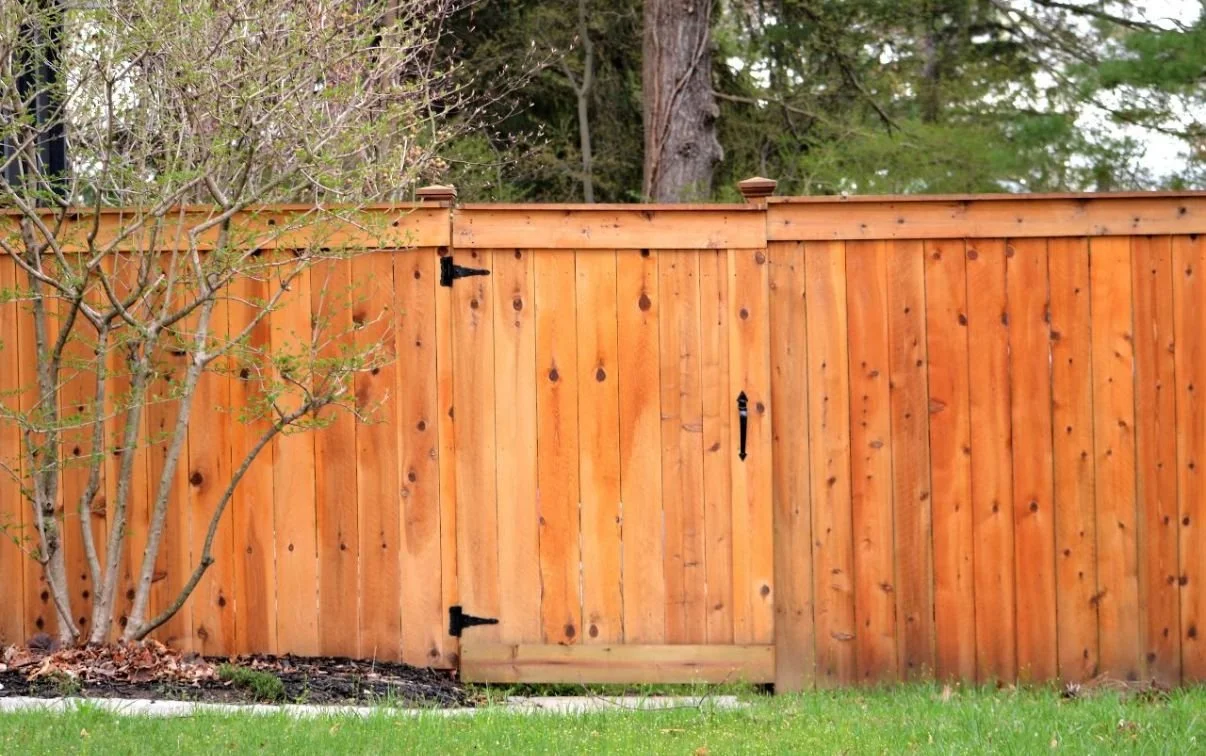 PHOTO-2026-03-31-20-12-10 4.jpg