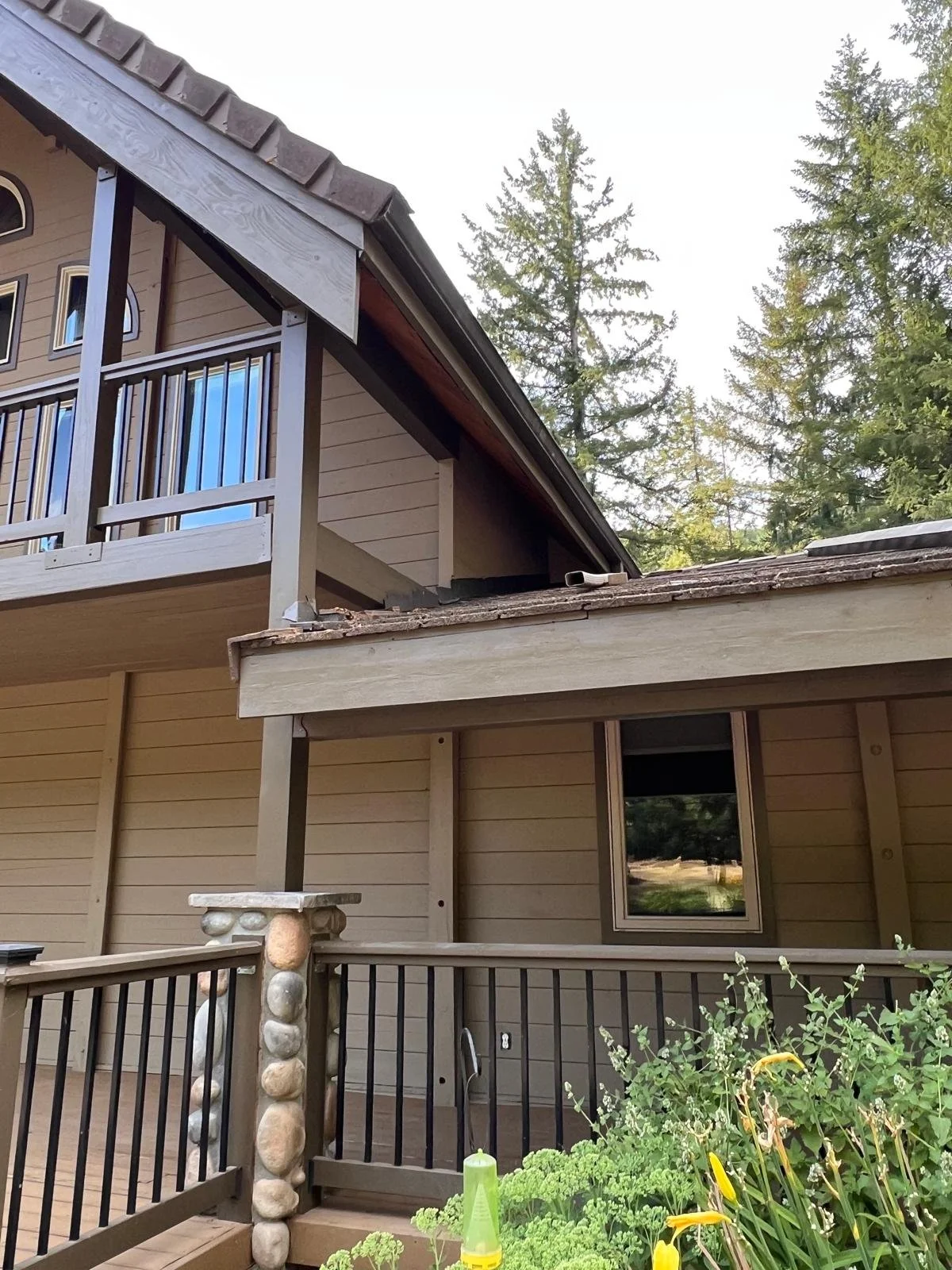 PHOTO-2026-03-30-22-11-30 16.jpg