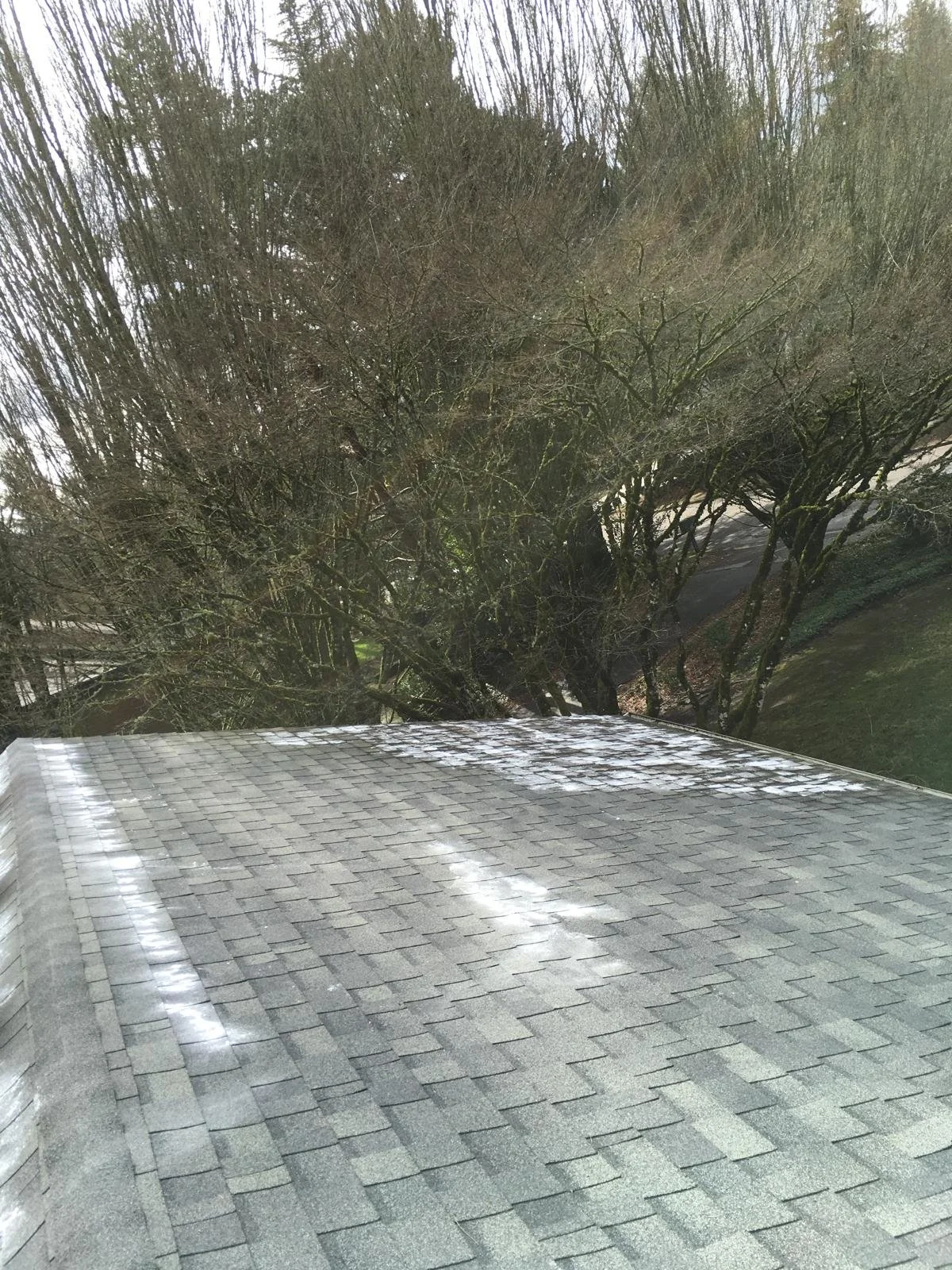 PHOTO-2026-03-30-22-02-33 10.jpg