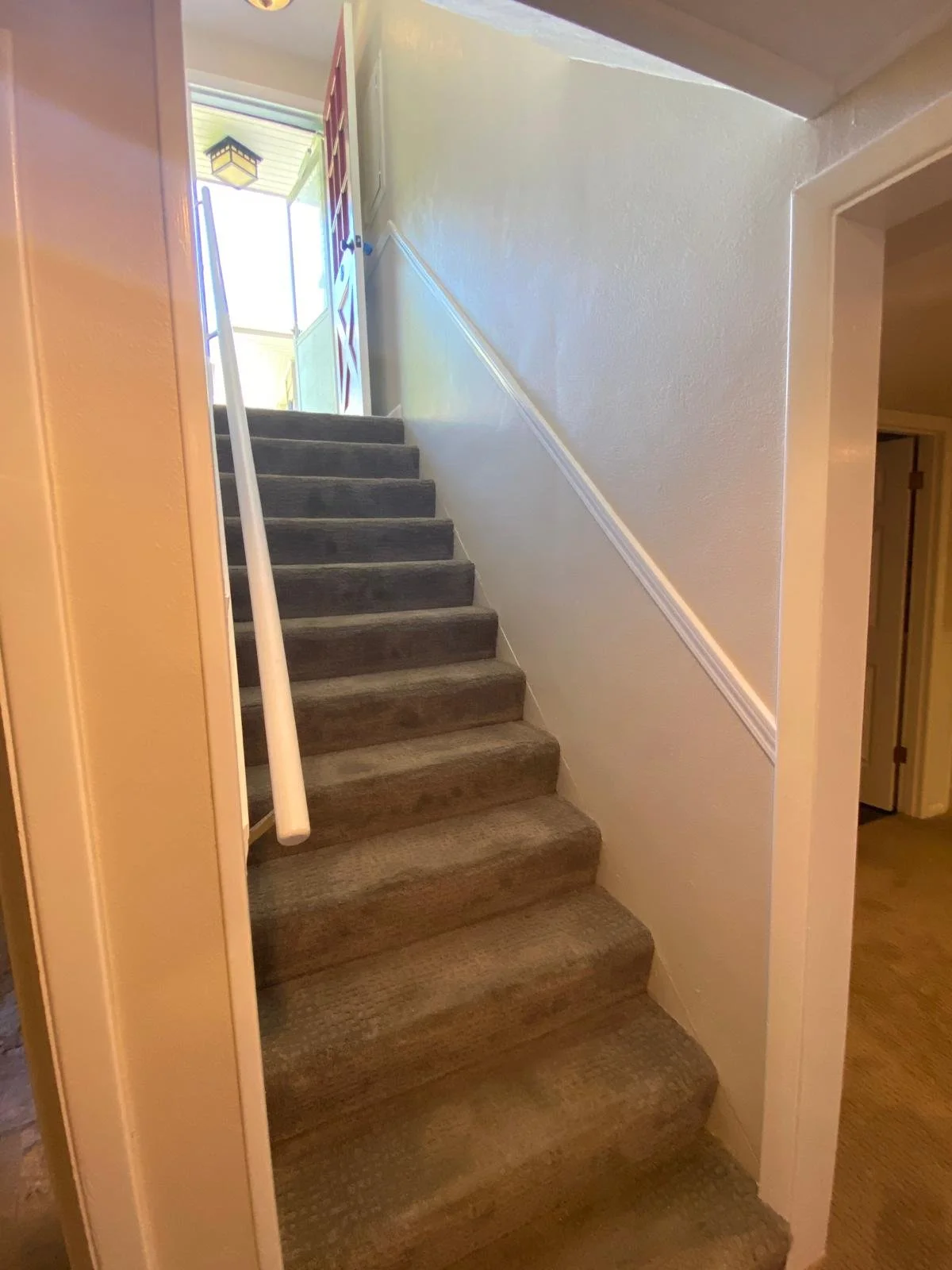 PHOTO-2026-03-30-22-04-40 3.jpg