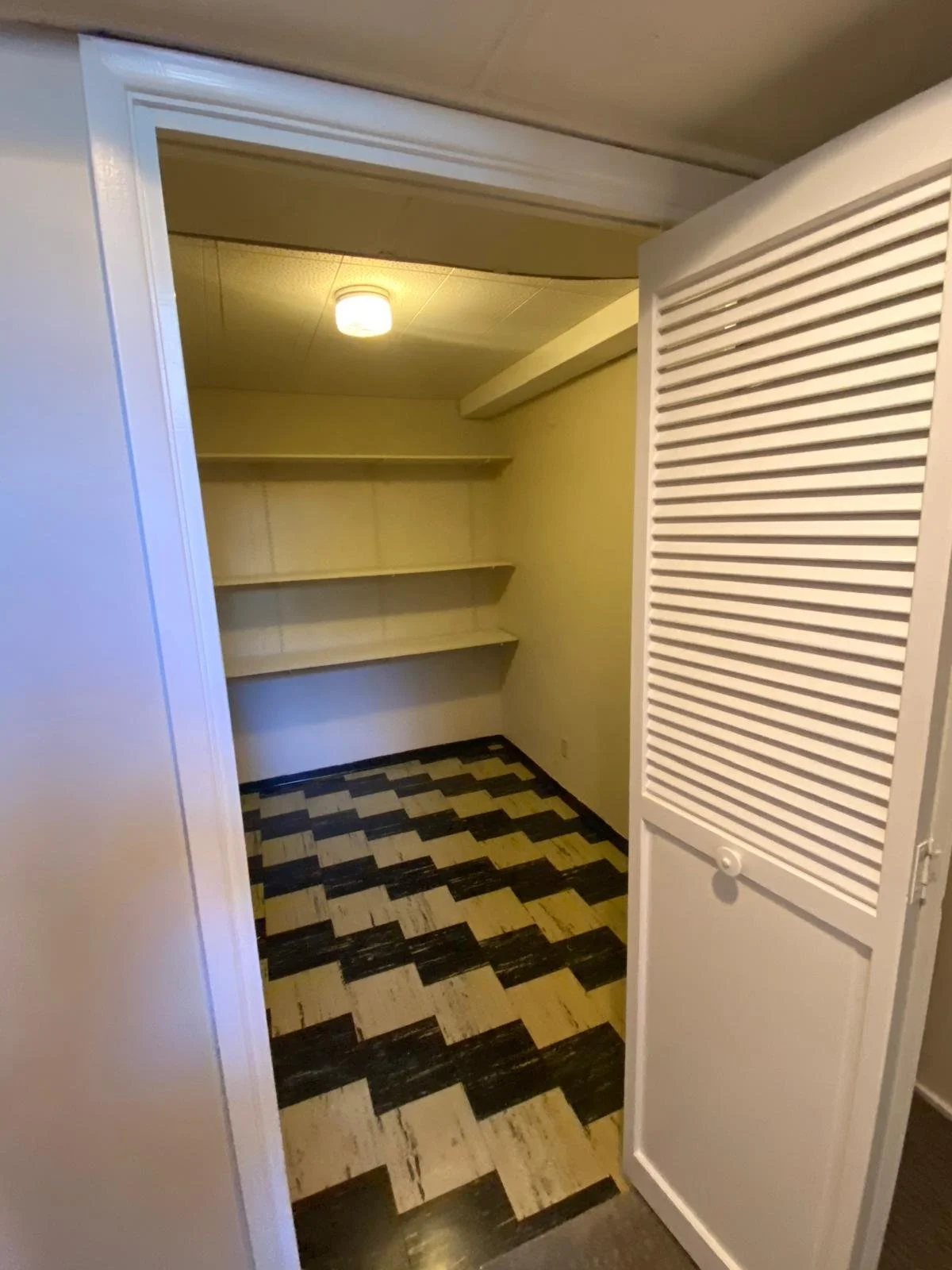 PHOTO-2026-03-30-22-04-40 4.jpg